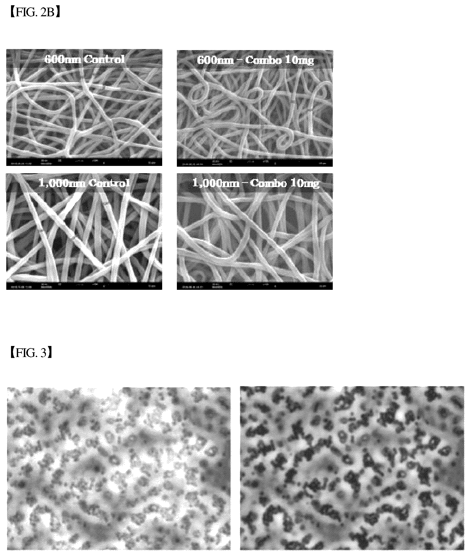 Patent US12305193 Figure 3 – Three-dimensional micro-environment structure for controlling cell behavior, three-dimensional surface for controlling cell behavior, and method for manufacturing array and three-dimensional micro-environment structure