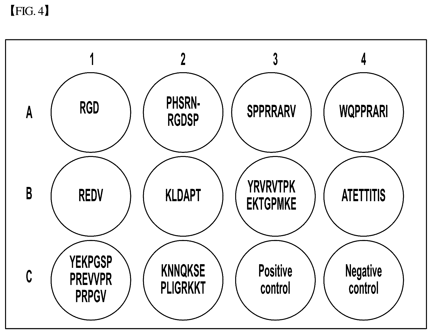 Patent US12305193 Figure 4 – Three-dimensional micro-environment structure for controlling cell behavior, three-dimensional surface for controlling cell behavior, and method for manufacturing array and three-dimensional micro-environment structure