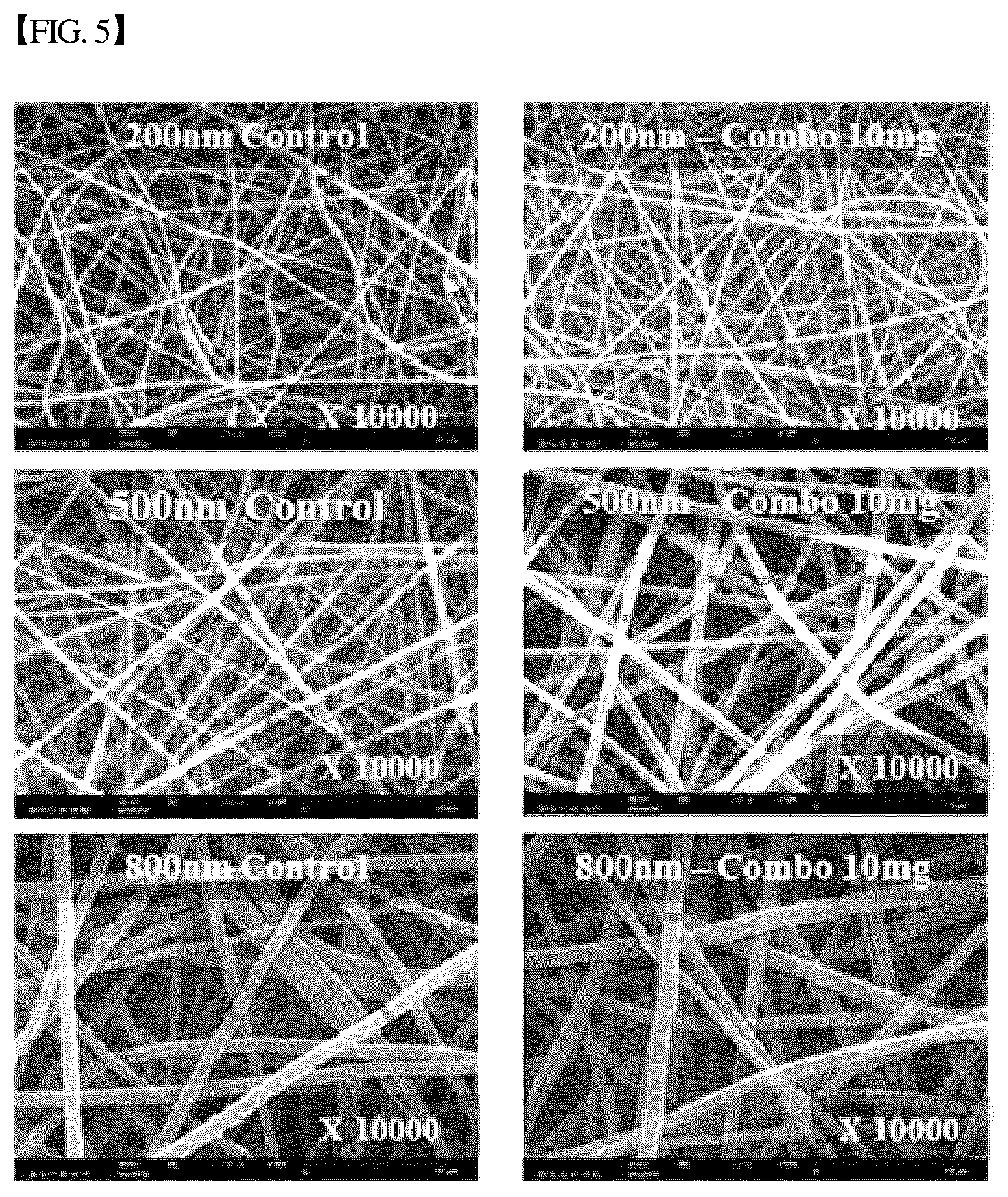 Patent US12305193 Figure 5 – Three-dimensional micro-environment structure for controlling cell behavior, three-dimensional surface for controlling cell behavior, and method for manufacturing array and three-dimensional micro-environment structure