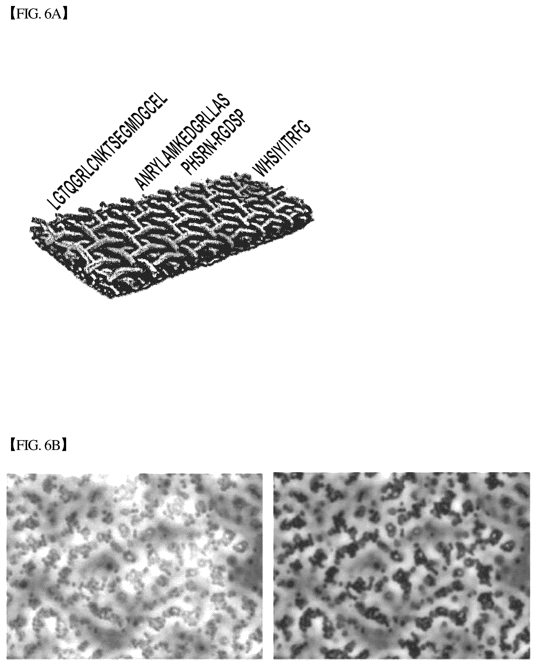 Patent US12305193 Figure 6 – Three-dimensional micro-environment structure for controlling cell behavior, three-dimensional surface for controlling cell behavior, and method for manufacturing array and three-dimensional micro-environment structure