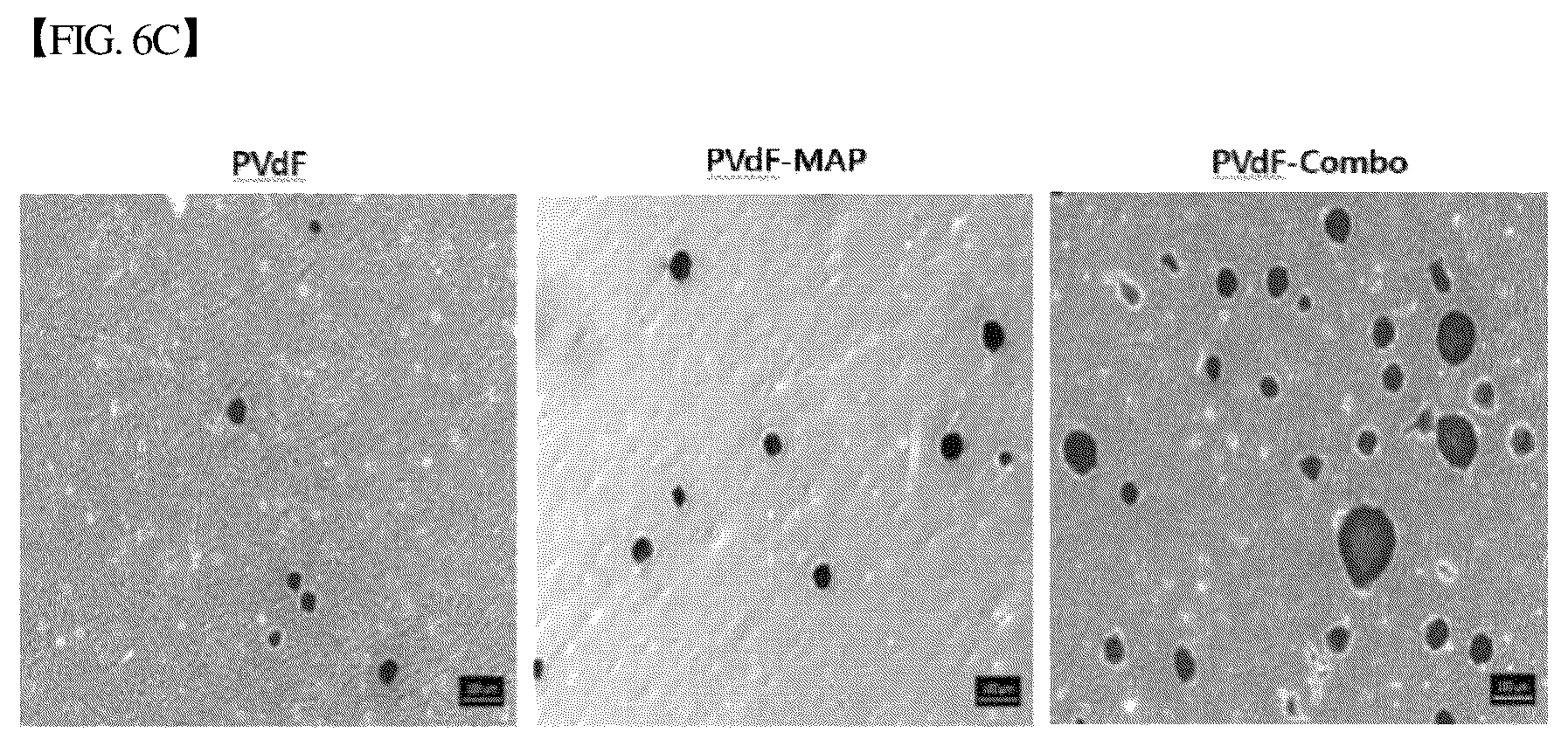 Patent US12305193 Figure 7 – Three-dimensional micro-environment structure for controlling cell behavior, three-dimensional surface for controlling cell behavior, and method for manufacturing array and three-dimensional micro-environment structure