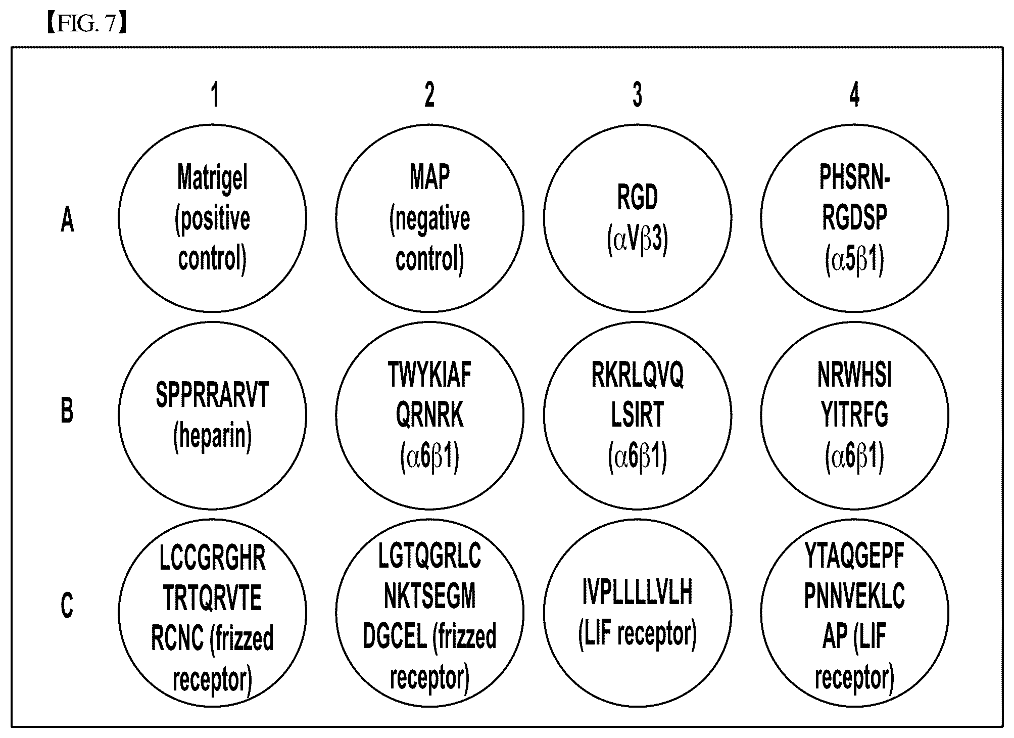 Patent US12305193 Figure 8 – Three-dimensional micro-environment structure for controlling cell behavior, three-dimensional surface for controlling cell behavior, and method for manufacturing array and three-dimensional micro-environment structure