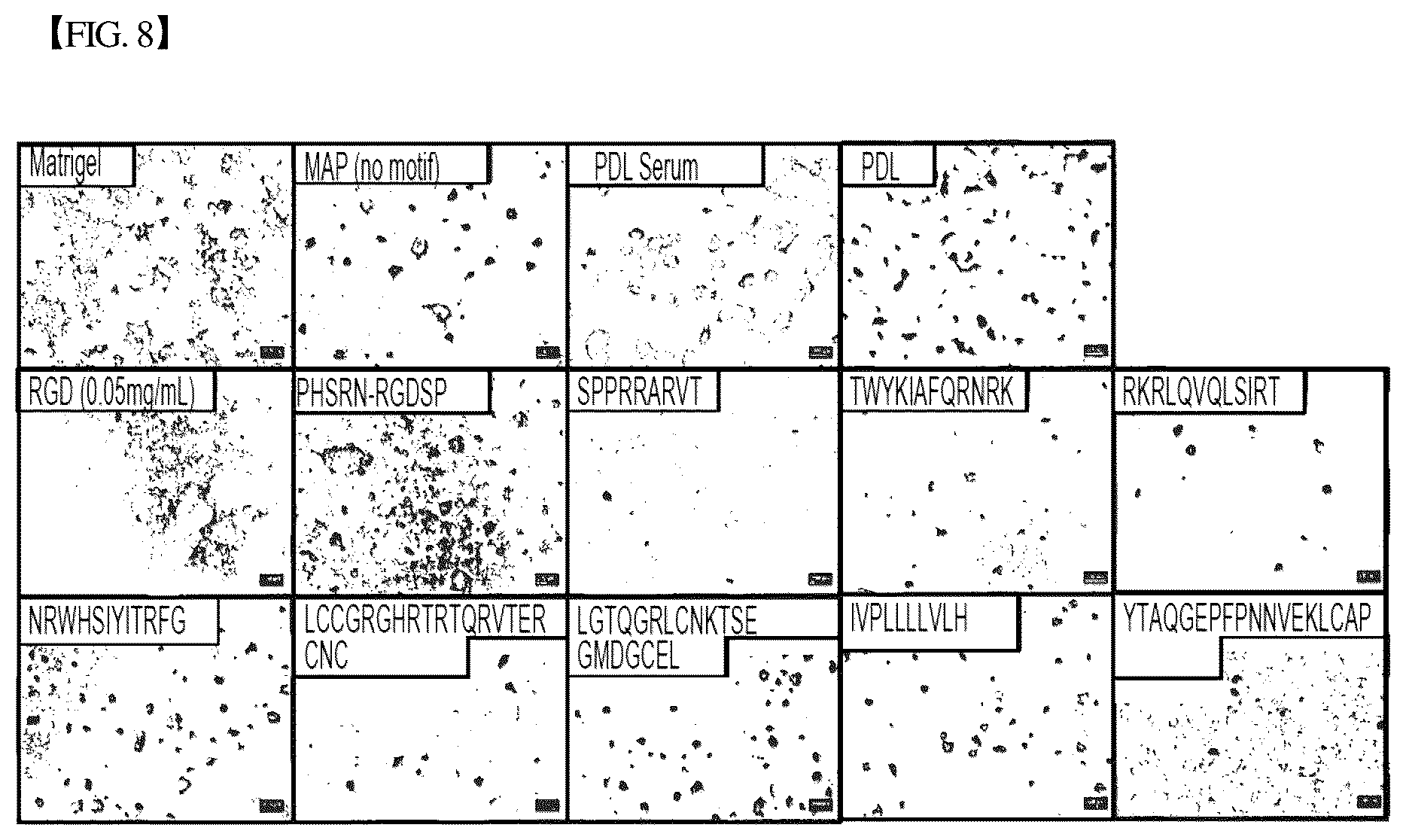 Patent US12305193 Figure 9 – Three-dimensional micro-environment structure for controlling cell behavior, three-dimensional surface for controlling cell behavior, and method for manufacturing array and three-dimensional micro-environment structure