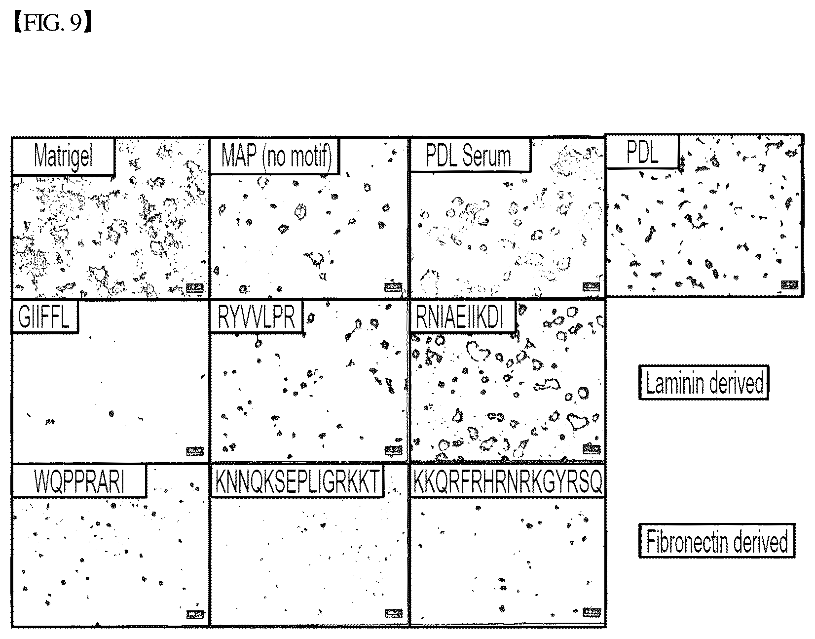 Patent US12305193 Figure 10 – Three-dimensional micro-environment structure for controlling cell behavior, three-dimensional surface for controlling cell behavior, and method for manufacturing array and three-dimensional micro-environment structure