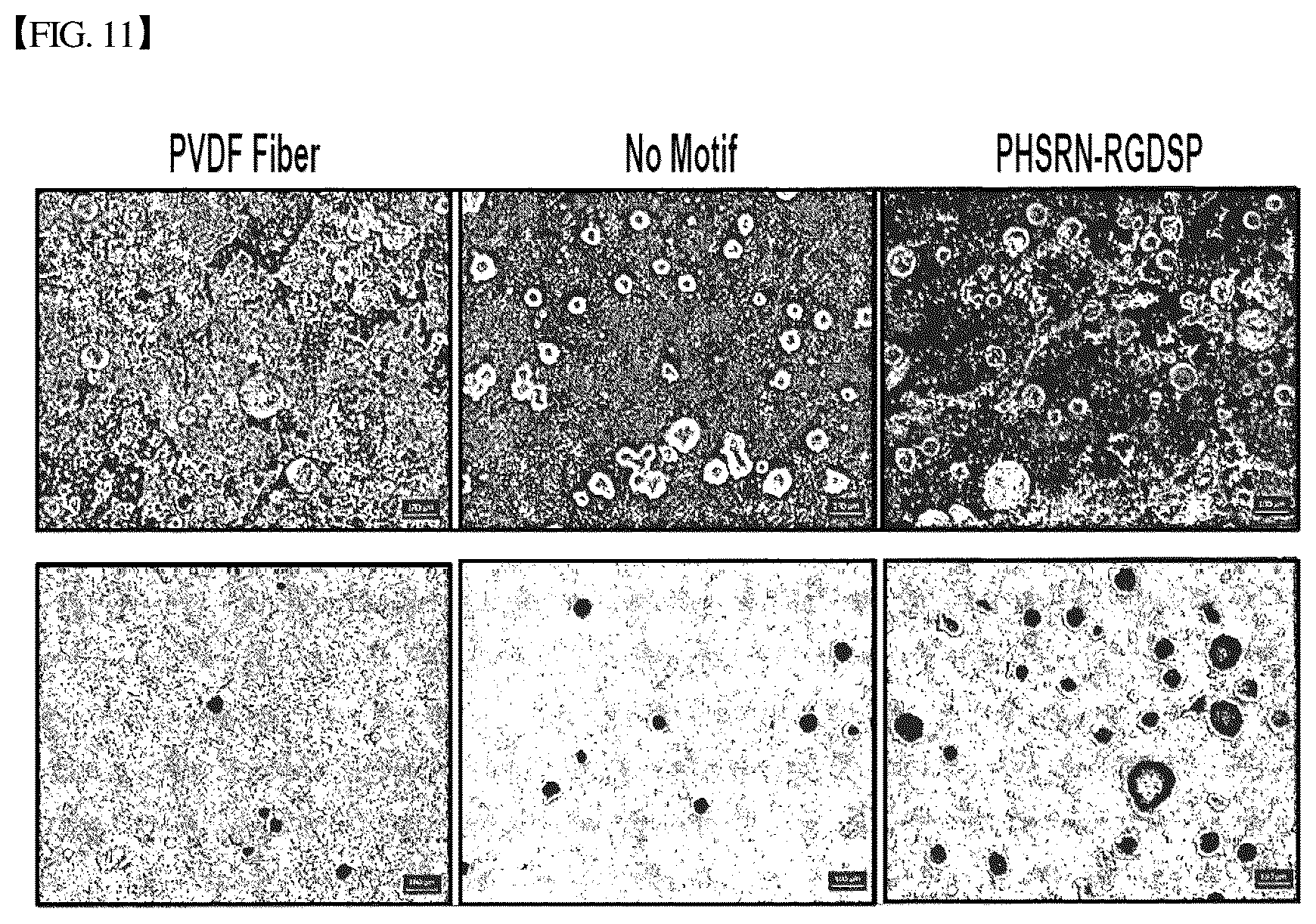 Patent US12305193 Figure 12 – Three-dimensional micro-environment structure for controlling cell behavior, three-dimensional surface for controlling cell behavior, and method for manufacturing array and three-dimensional micro-environment structure
