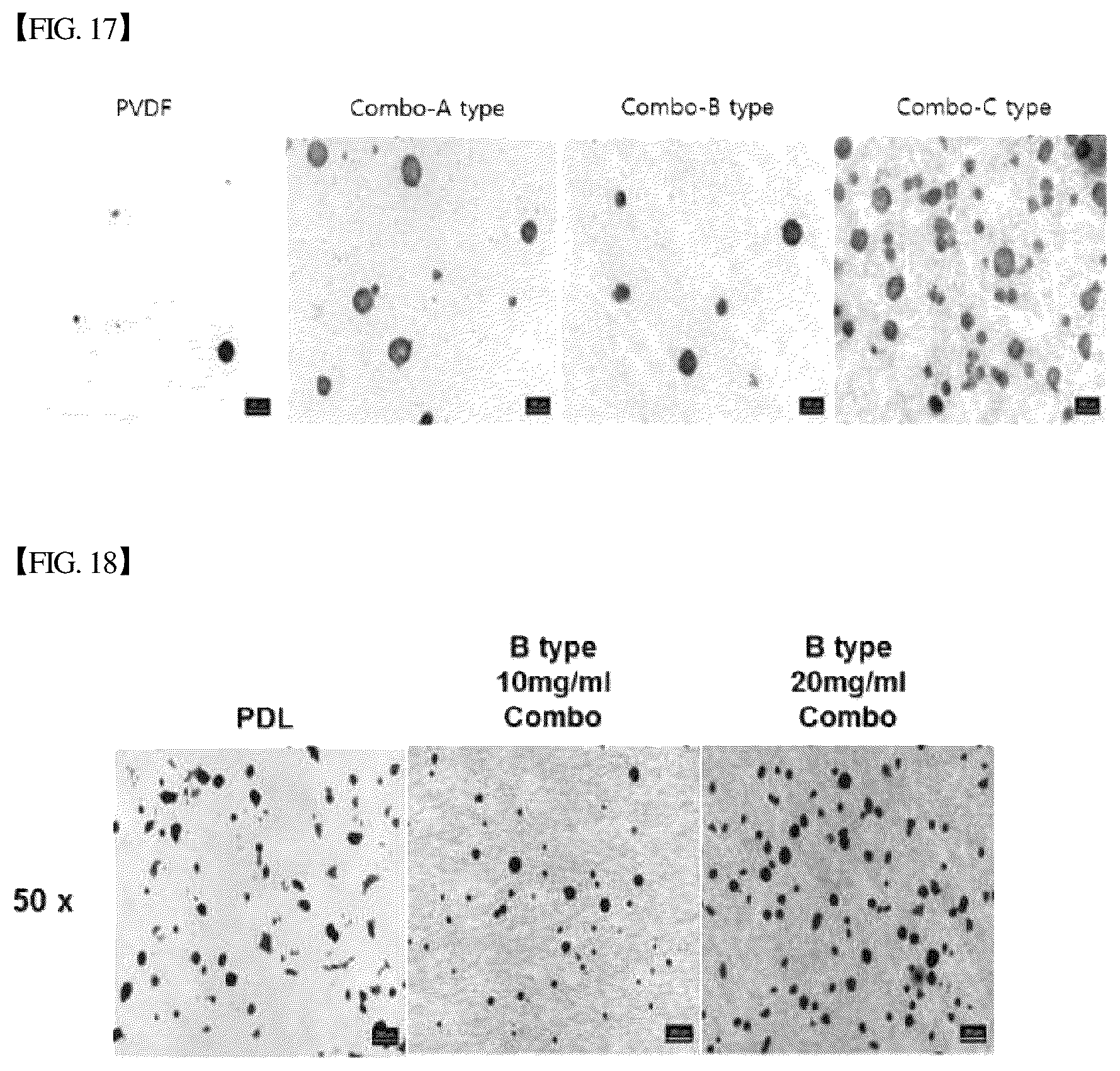 Patent US12305193 Figure 18 – Three-dimensional micro-environment structure for controlling cell behavior, three-dimensional surface for controlling cell behavior, and method for manufacturing array and three-dimensional micro-environment structure
