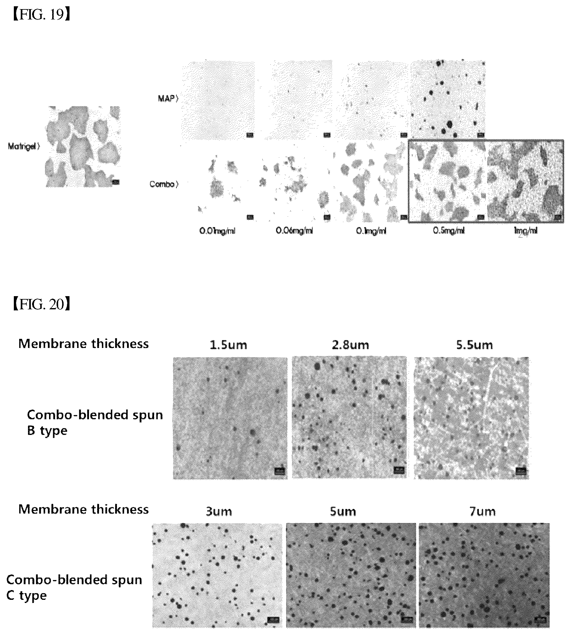 Patent US12305193 Figure 19 – Three-dimensional micro-environment structure for controlling cell behavior, three-dimensional surface for controlling cell behavior, and method for manufacturing array and three-dimensional micro-environment structure