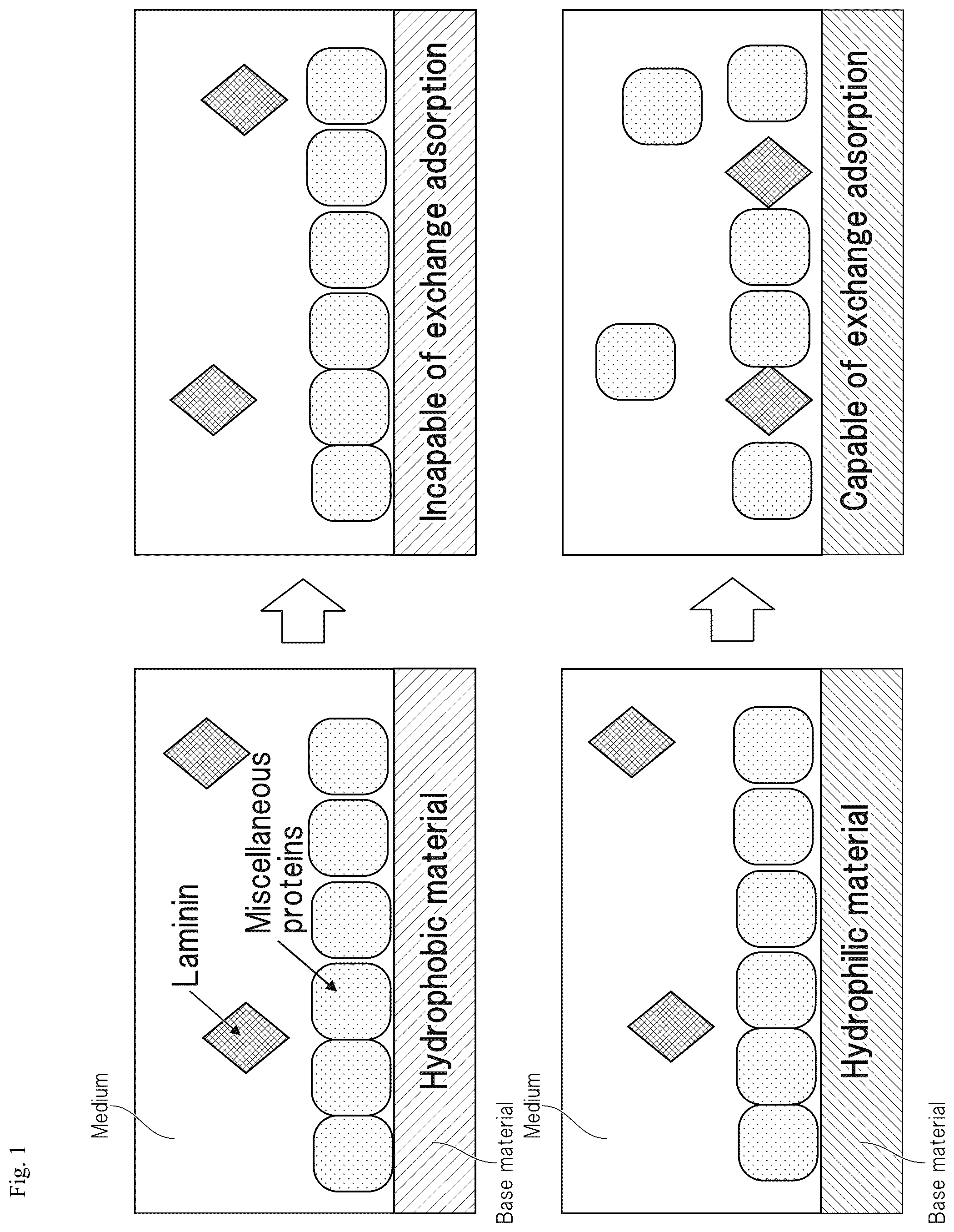 Patent US12305194 Figure 1 – Cell culture method and cell culture system