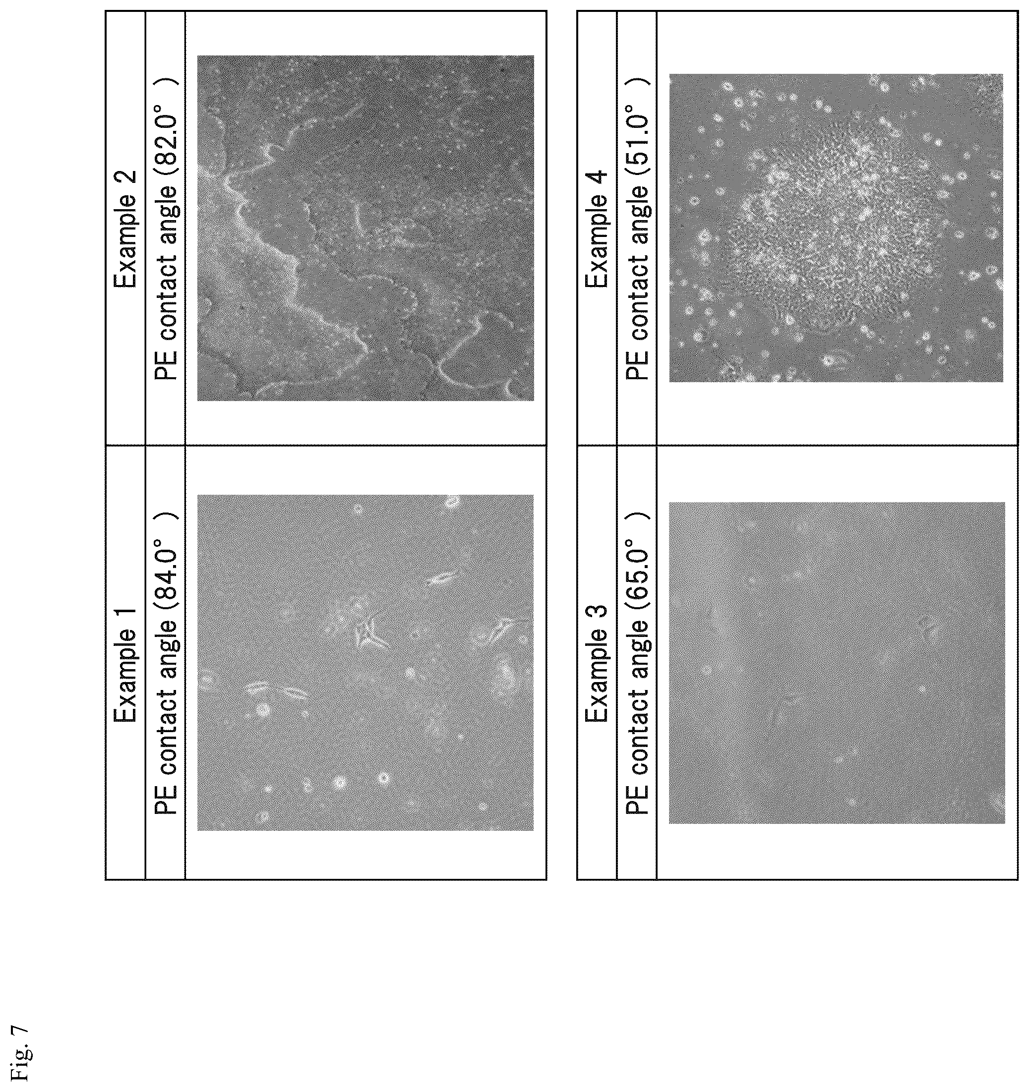 Patent US12305194 Figure 7 – Cell culture method and cell culture system