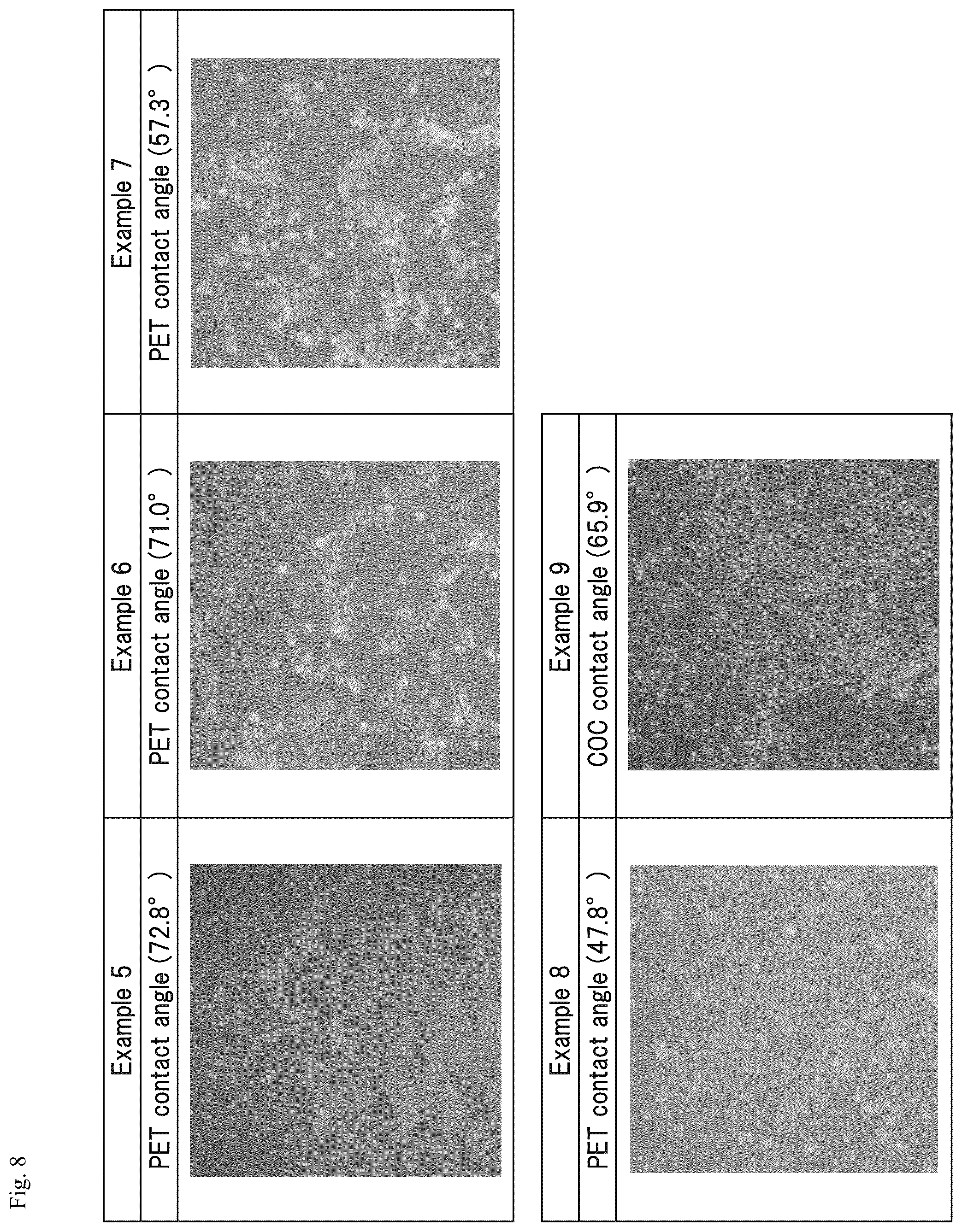 Patent US12305194 Figure 8 – Cell culture method and cell culture system