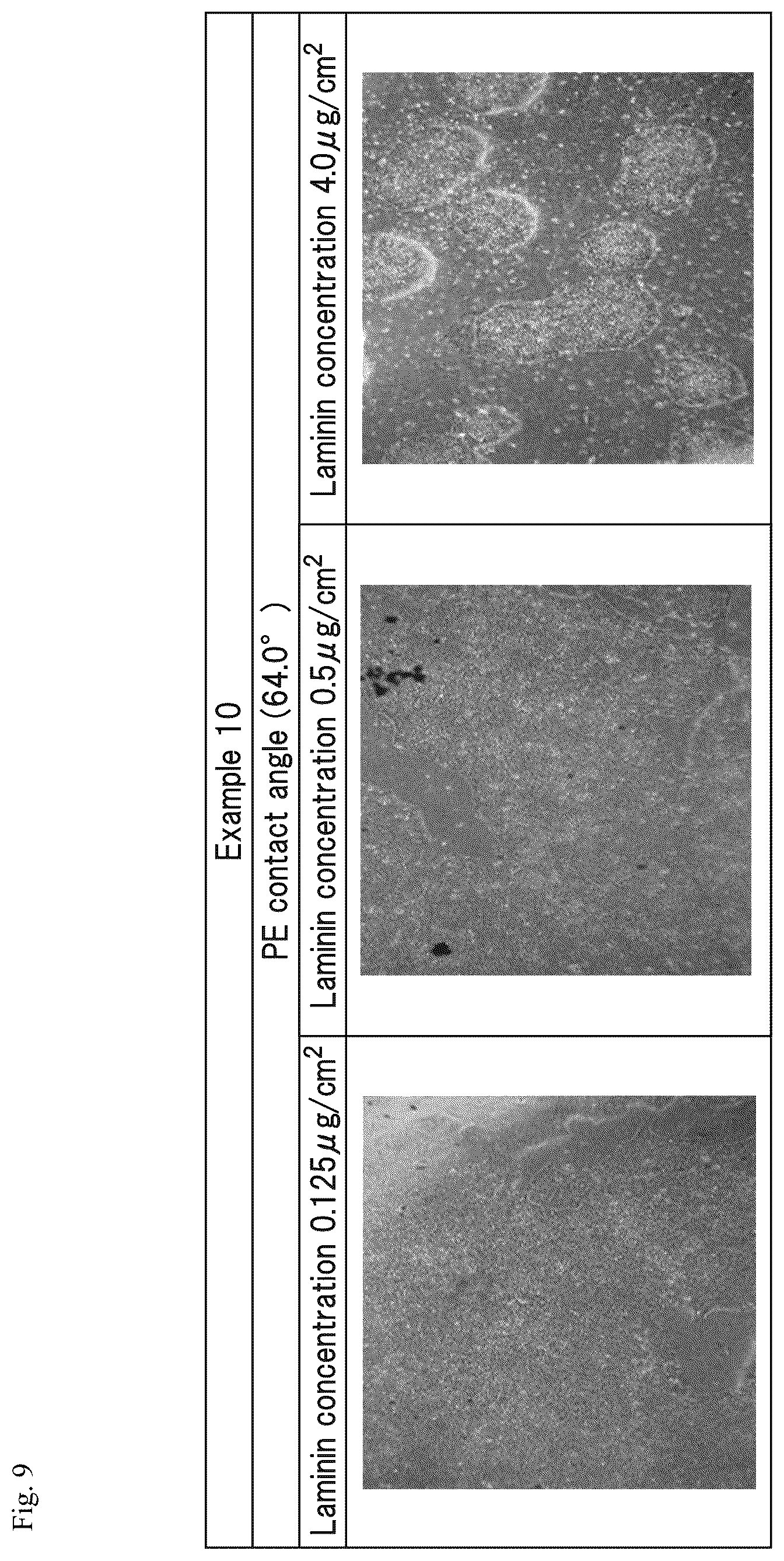 Patent US12305194 Figure 9 – Cell culture method and cell culture system
