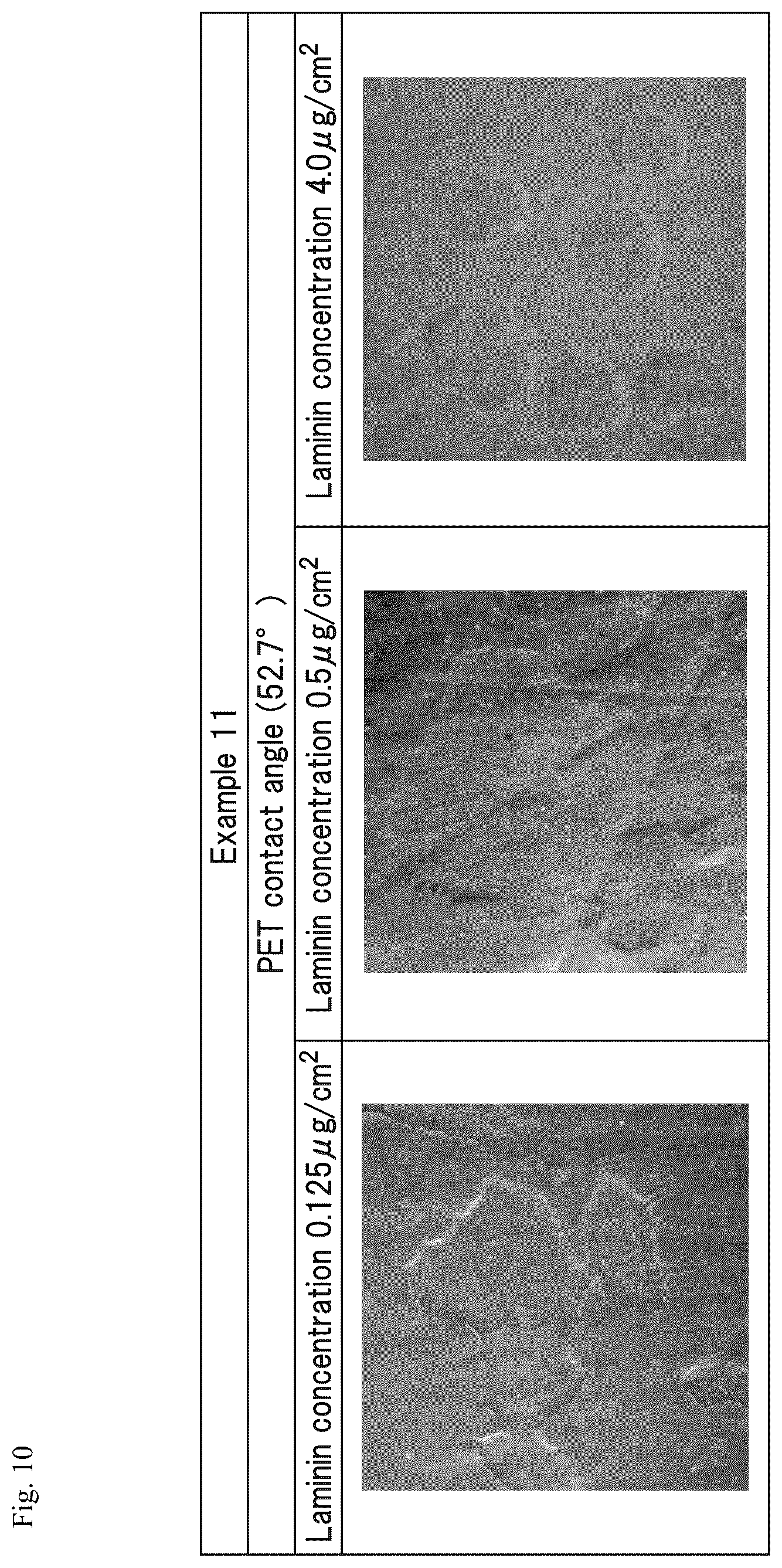 Patent US12305194 Figure 10 – Cell culture method and cell culture system