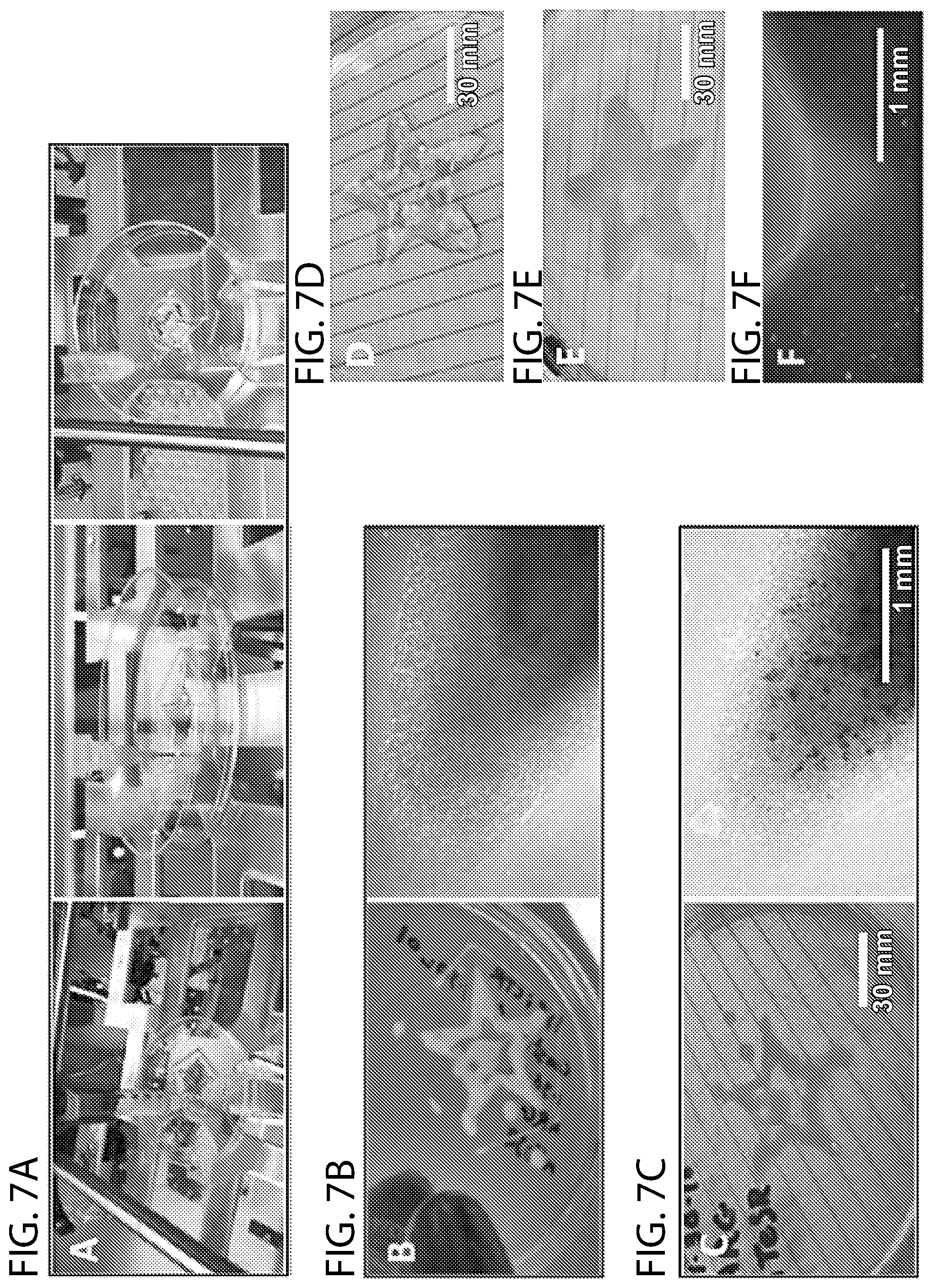 Patent US12305196 Figure 8 – Compact mechanical syringe extruder for 3D bioprinting of cell laden gels