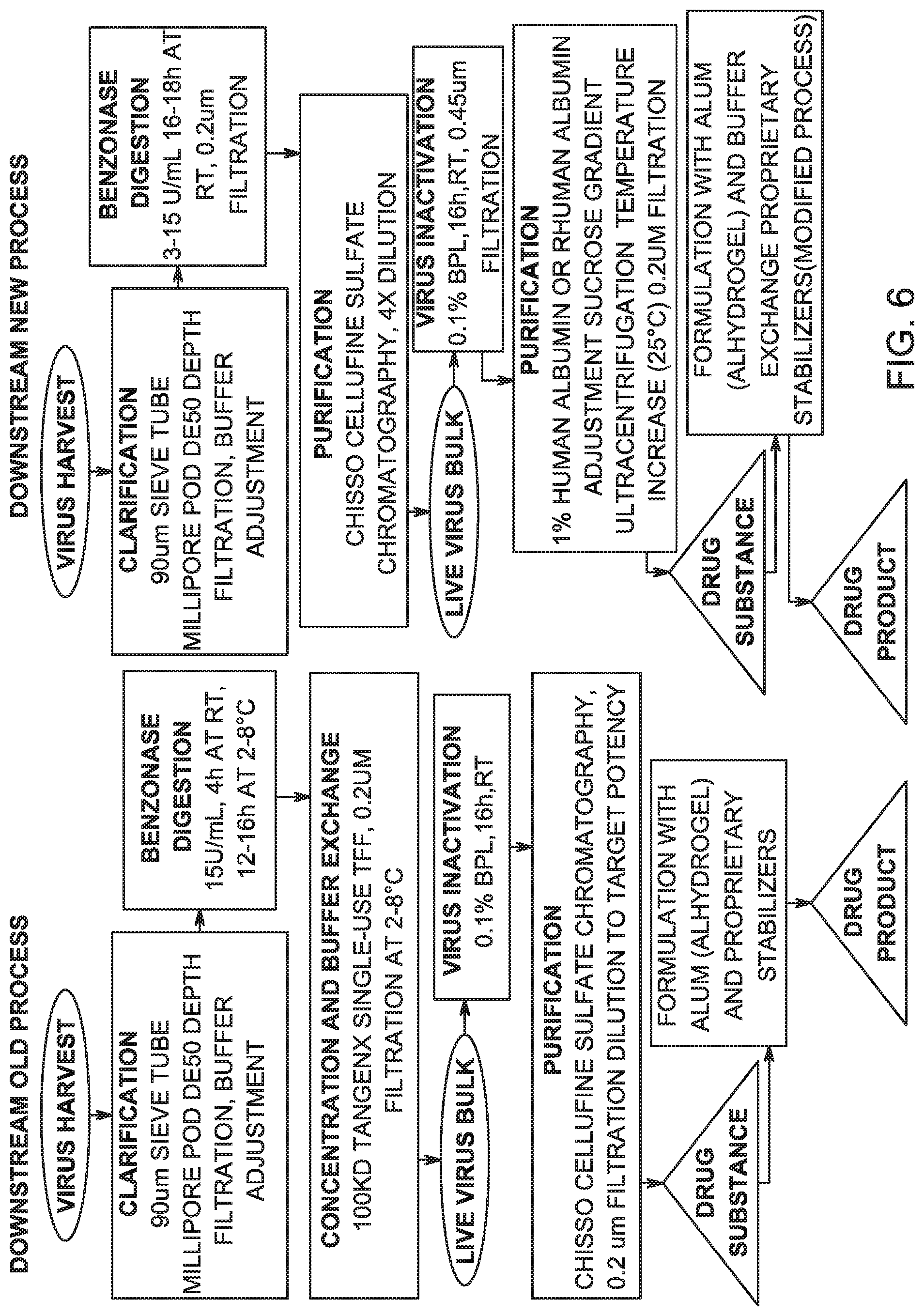 Patent US12305198 Figure 6 – Virus purification and formulation process