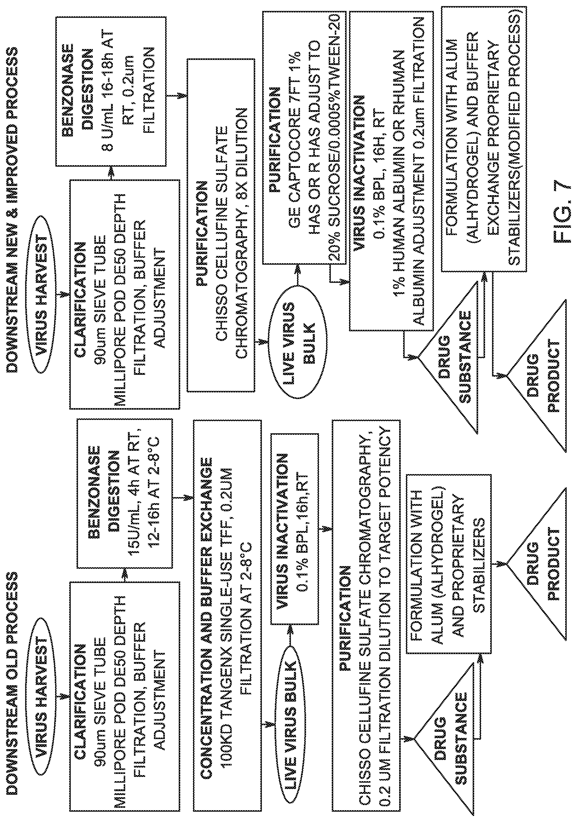 Patent US12305198 Figure 7 – Virus purification and formulation process