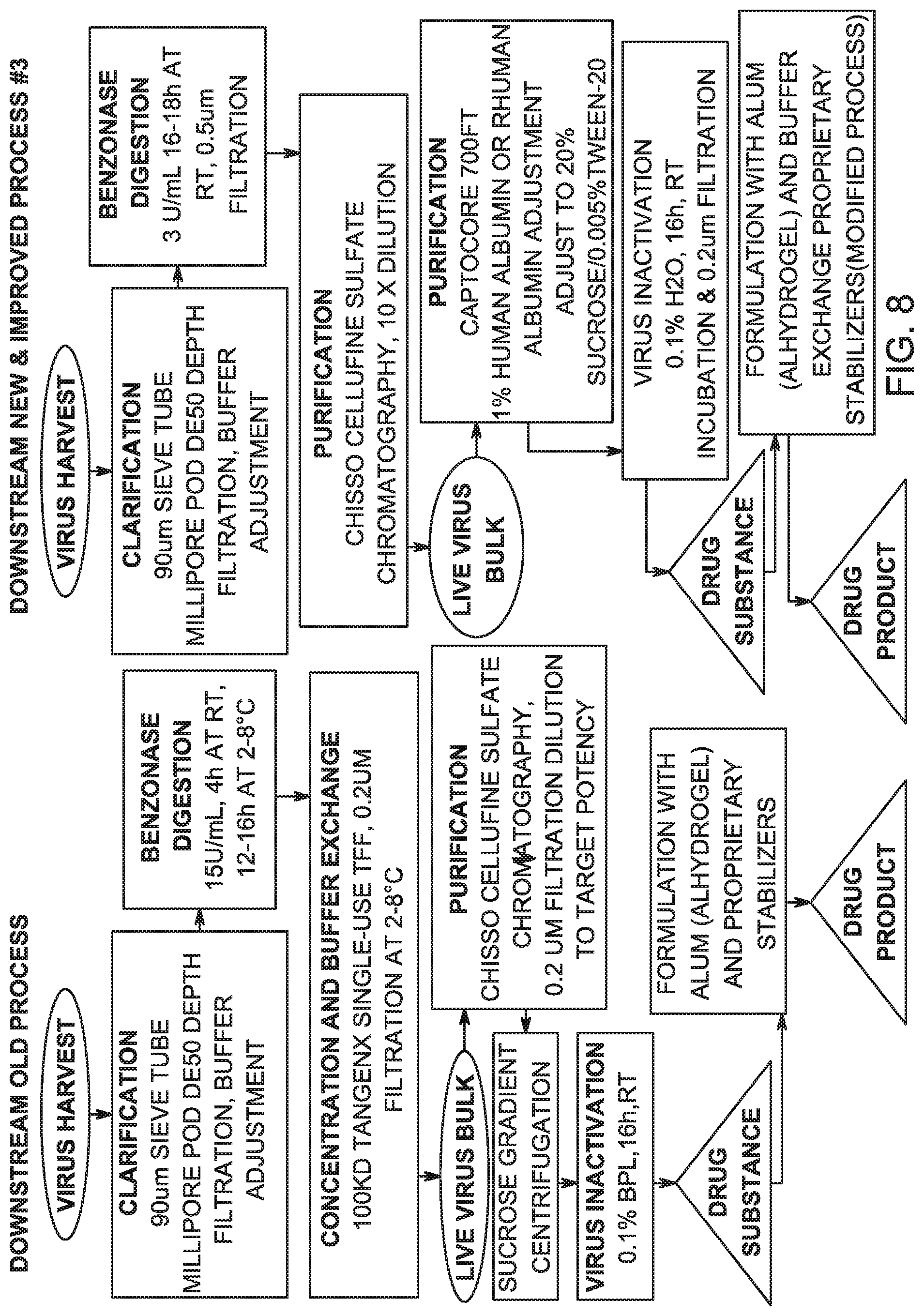 Patent US12305198 Figure 8 – Virus purification and formulation process