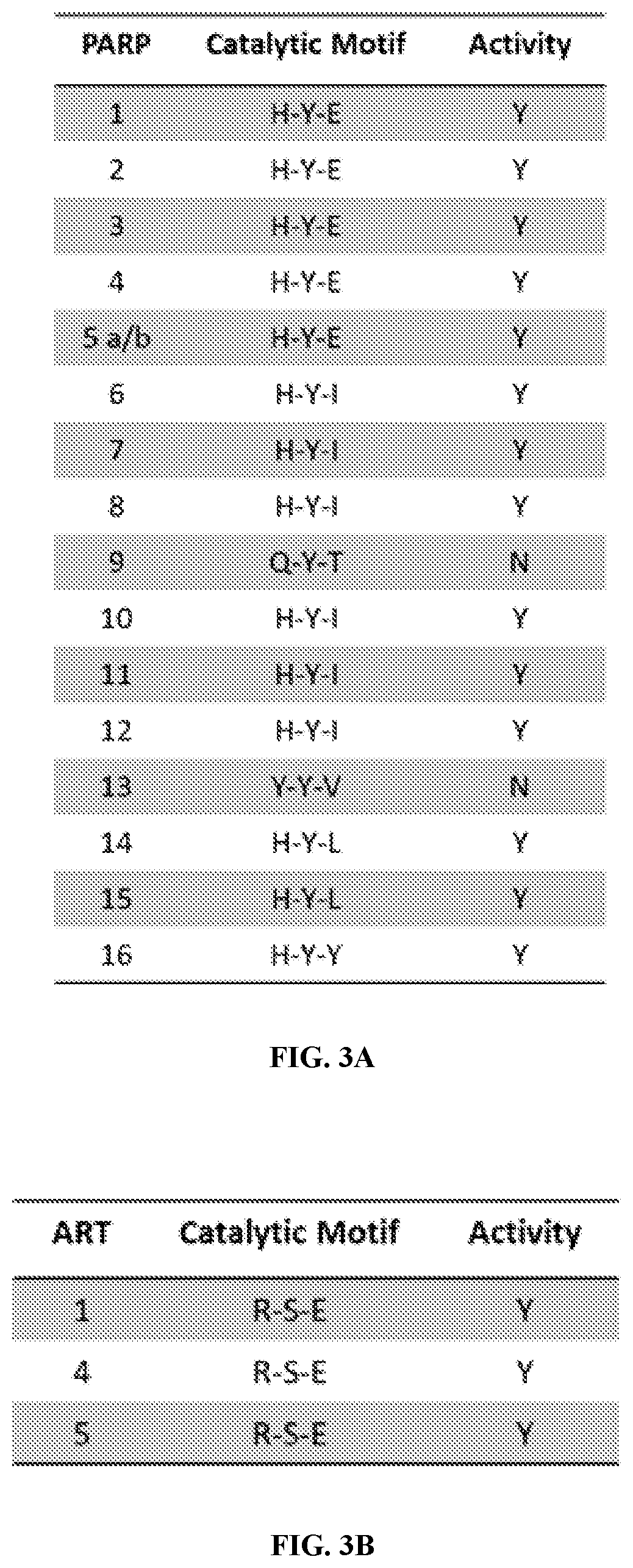 Patent US12305200 Figure 3 – Methods and compositions for vault nanoparticle immobilization of therapeutic molecules and for vault targeting