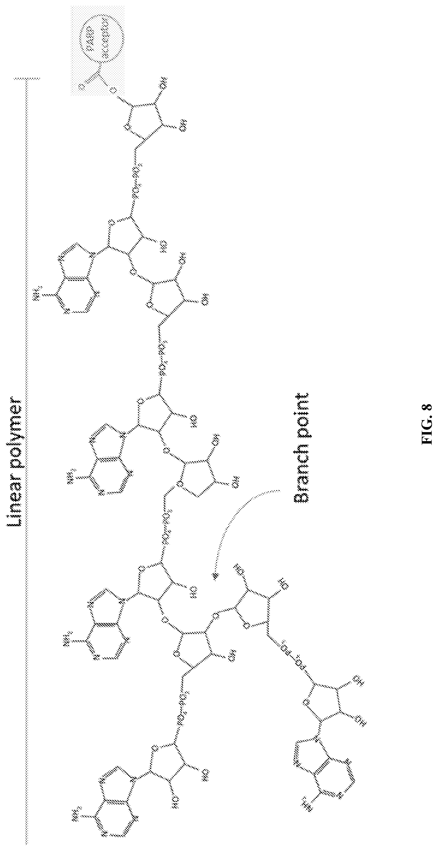 Patent US12305200 Figure 8 – Methods and compositions for vault nanoparticle immobilization of therapeutic molecules and for vault targeting