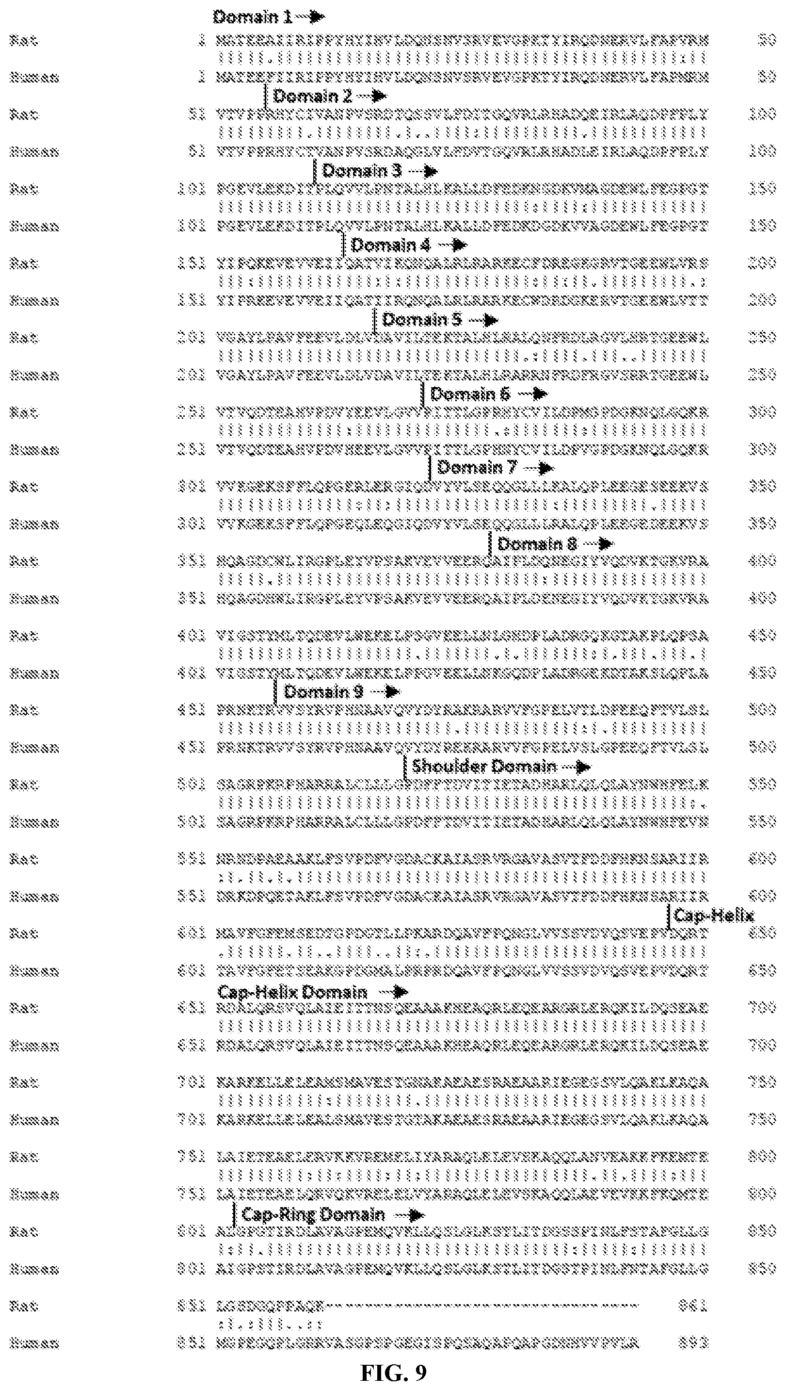 Patent US12305200 Figure 9 – Methods and compositions for vault nanoparticle immobilization of therapeutic molecules and for vault targeting