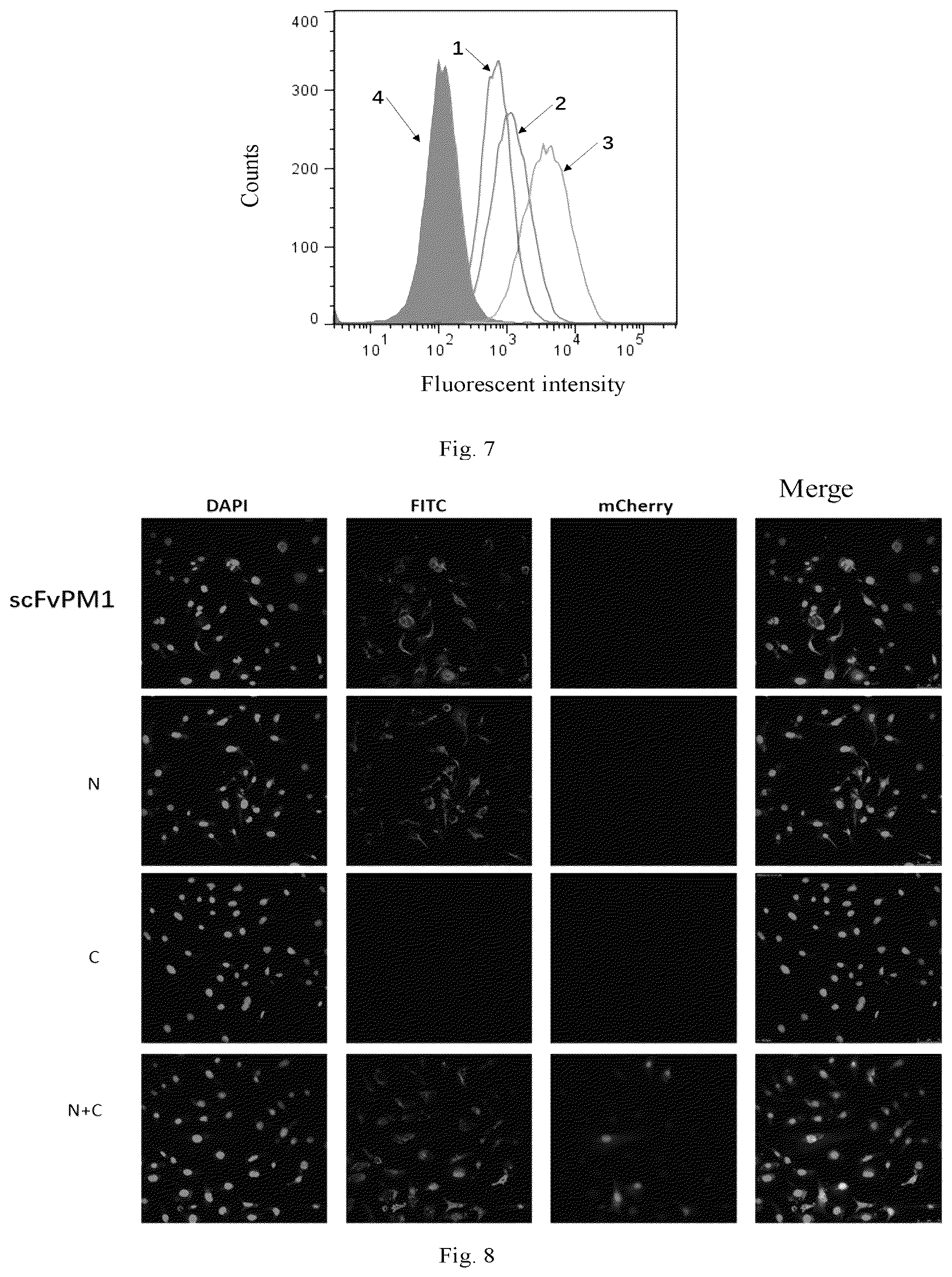 Patent US12305202 Figure 4 – Polypeptide composition