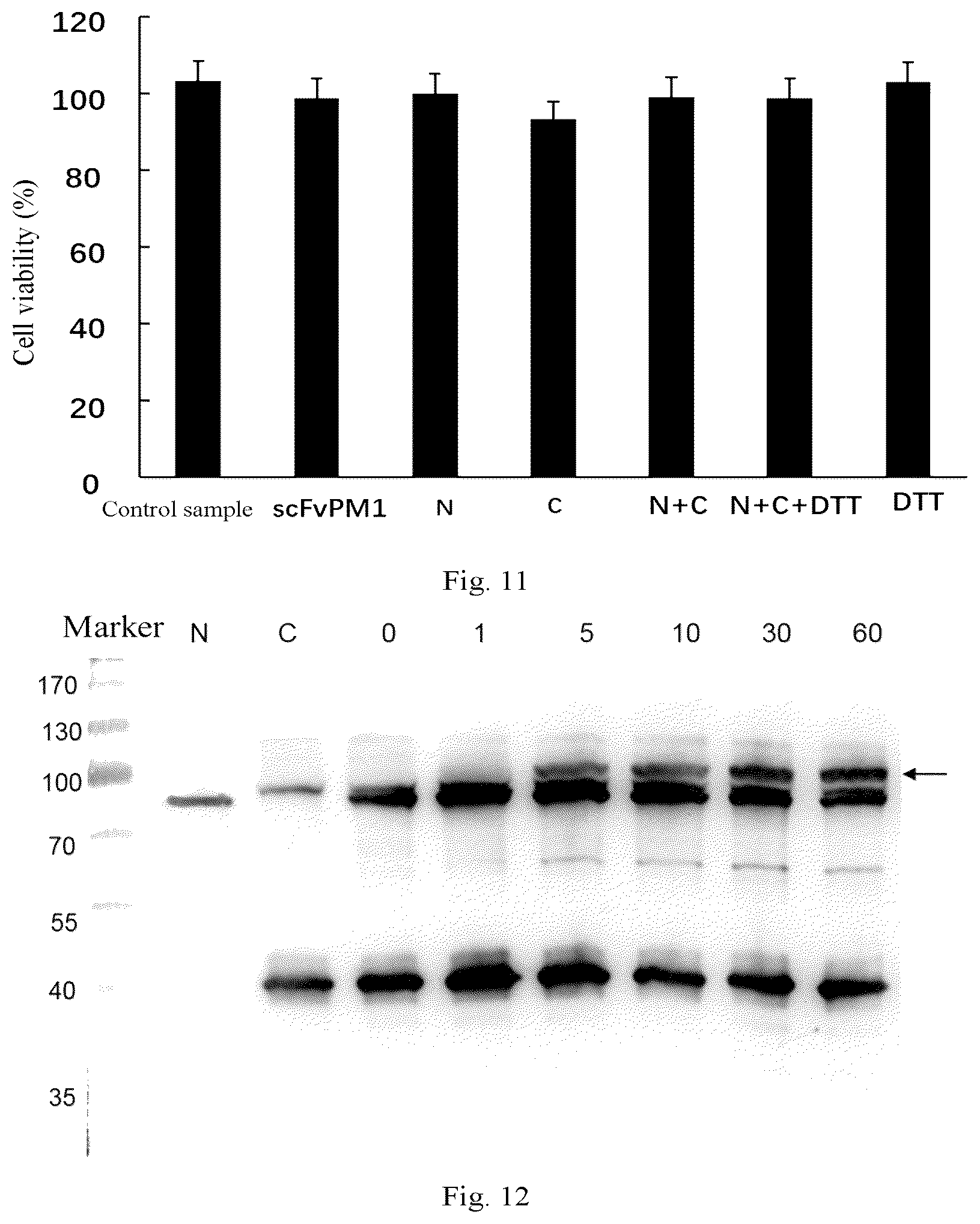 Patent US12305202 Figure 6 – Polypeptide composition
