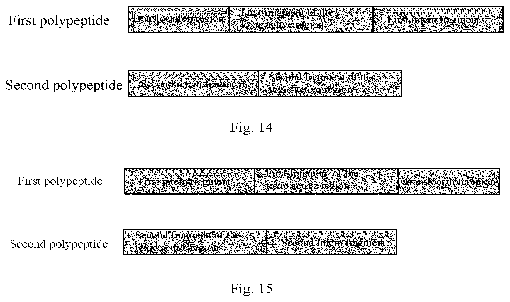 Patent US12305202 Figure 8 – Polypeptide composition