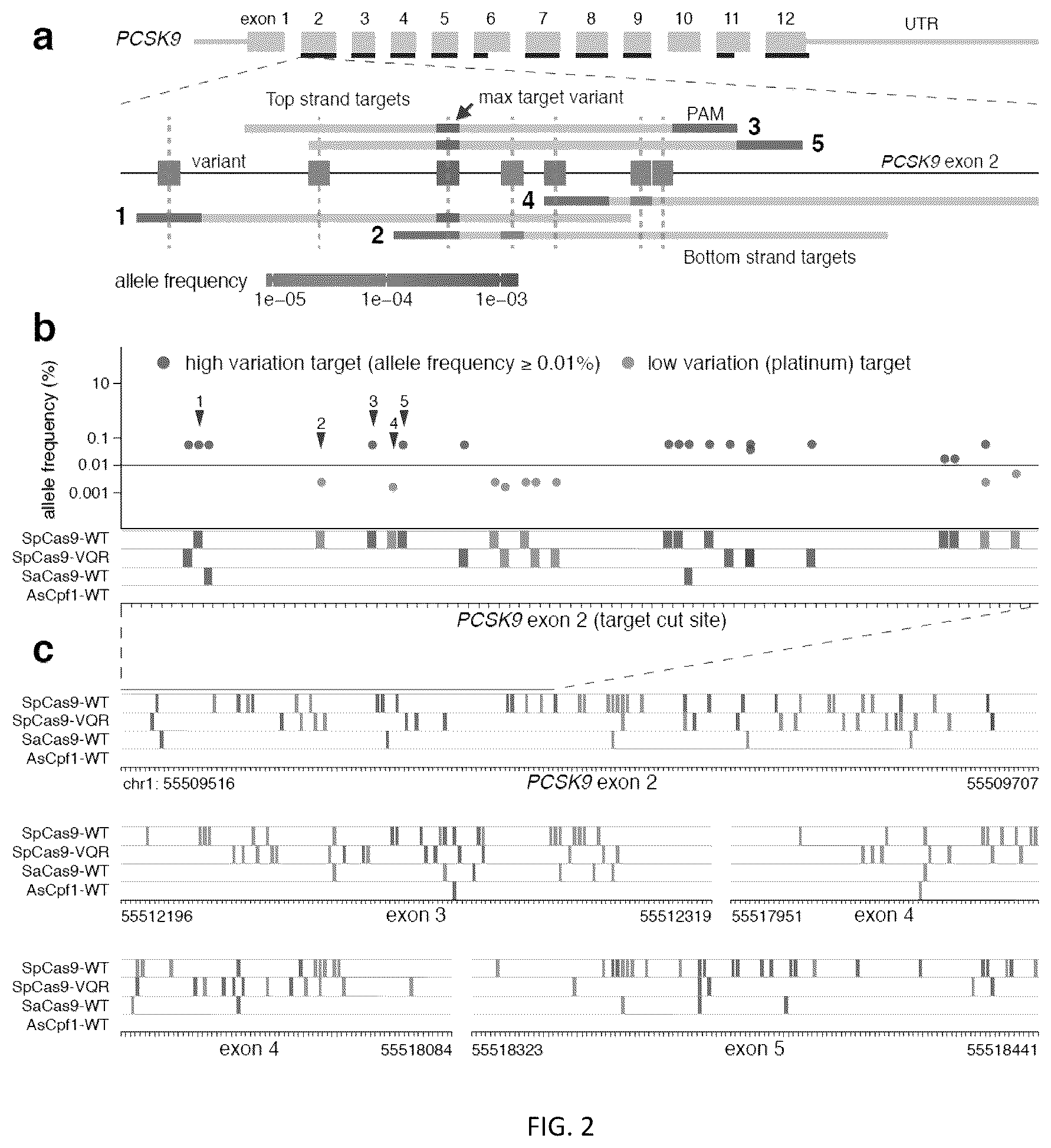 Patent US12305204 Figure 2 – CRISPR enzymes and systems