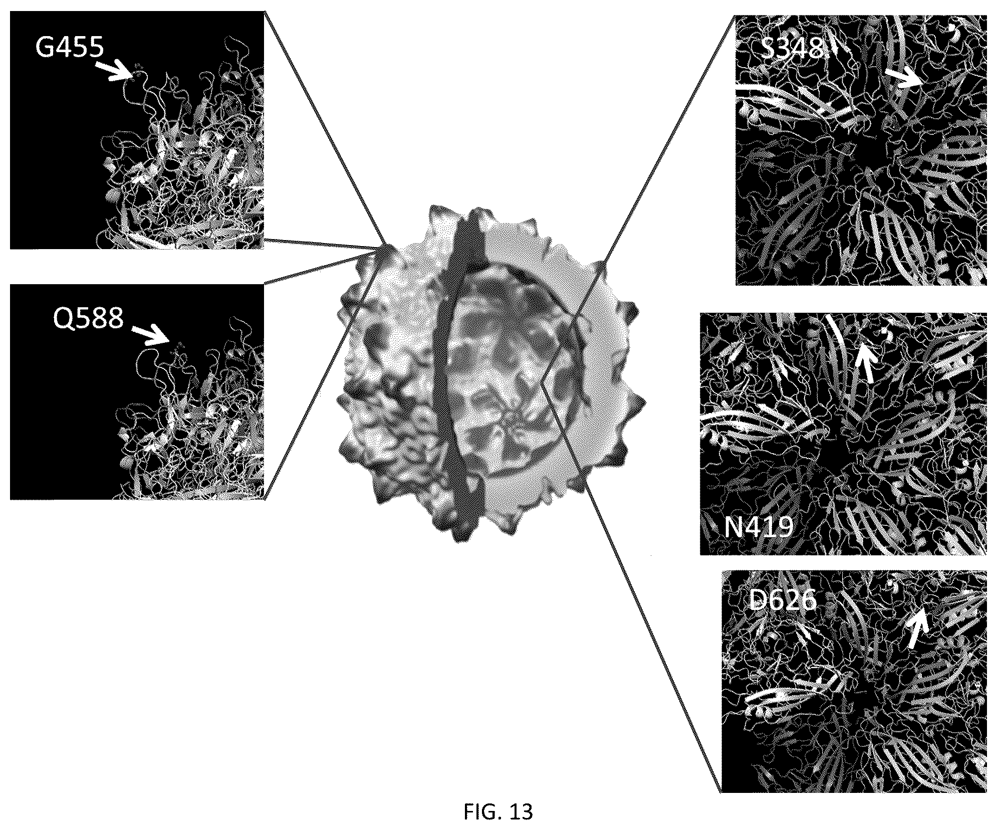 Patent US12305204 Figure 15 – CRISPR enzymes and systems