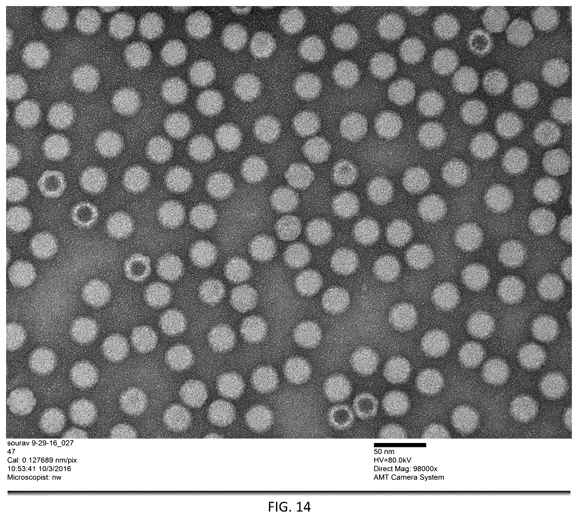Patent US12305204 Figure 16 – CRISPR enzymes and systems