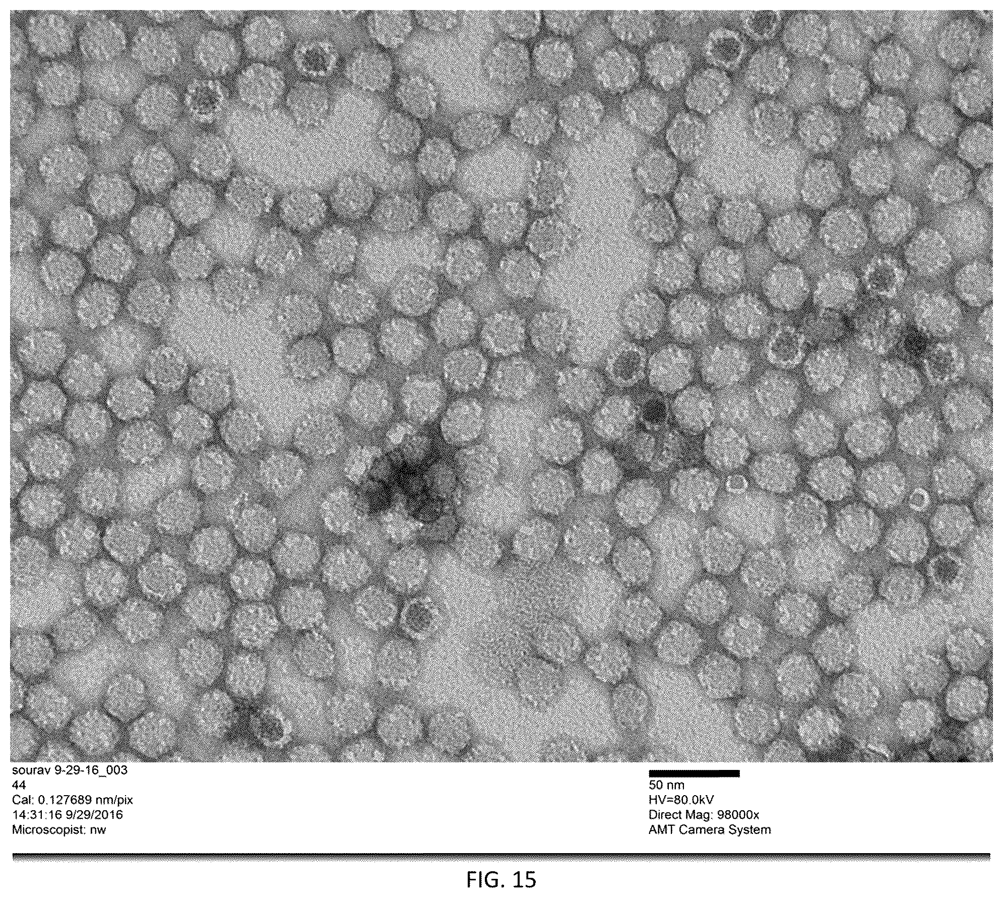 Patent US12305204 Figure 17 – CRISPR enzymes and systems