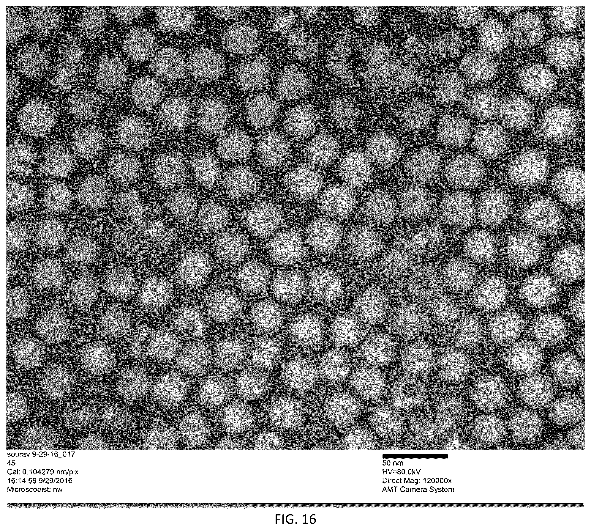 Patent US12305204 Figure 18 – CRISPR enzymes and systems