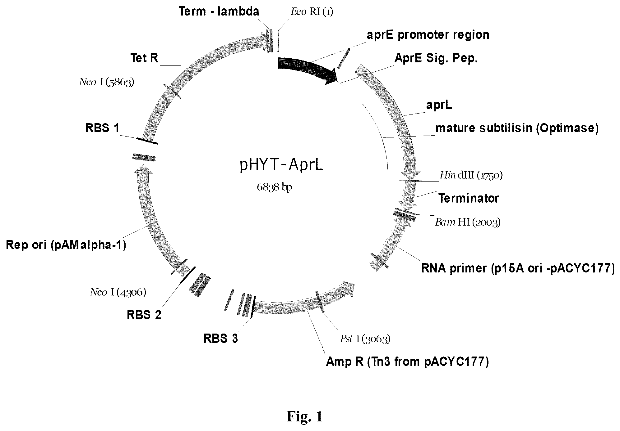 Patent US12305205 Figure 1 – AprL-clade protease variants and uses thereof
