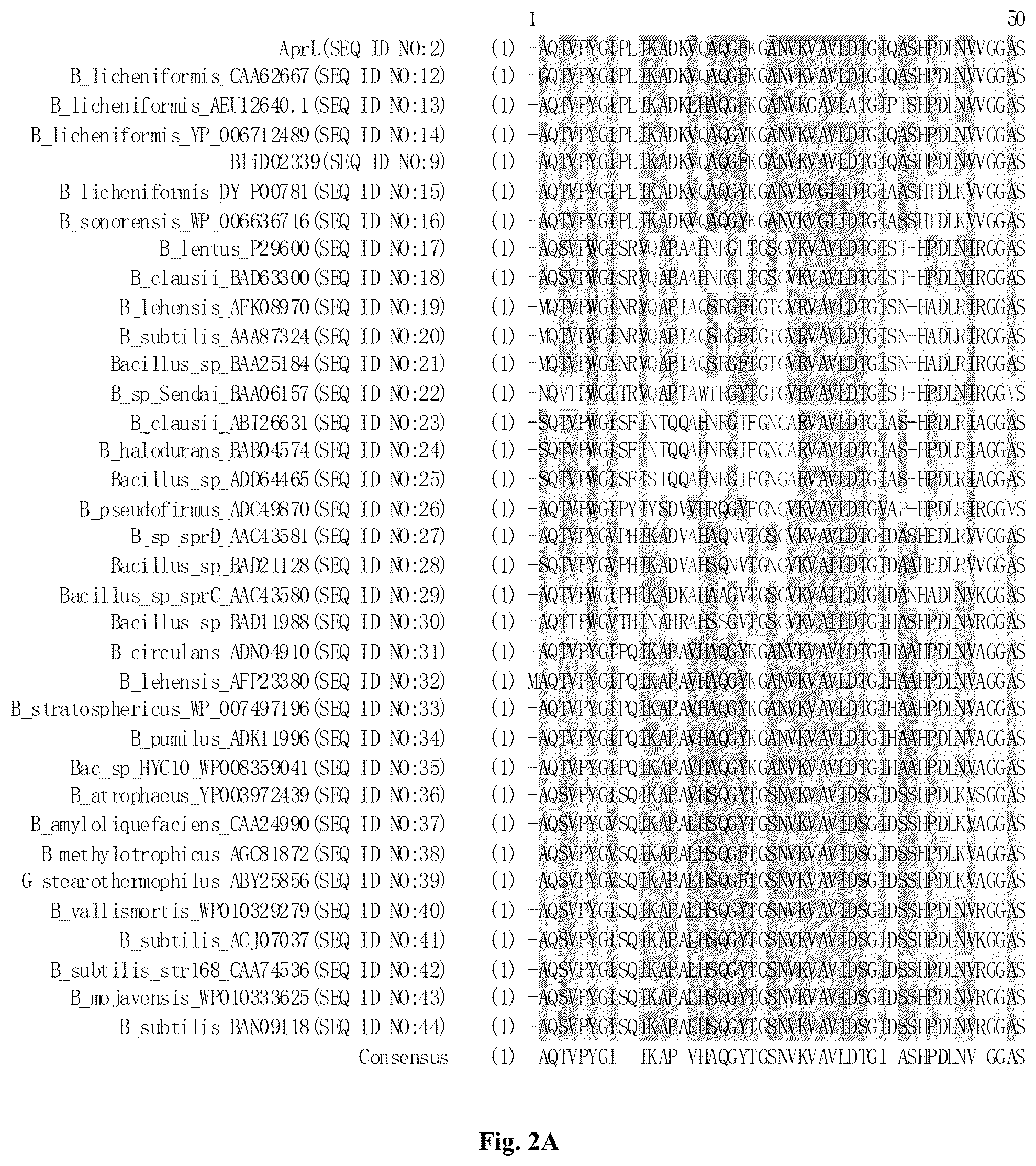 Patent US12305205 Figure 2 – AprL-clade protease variants and uses thereof