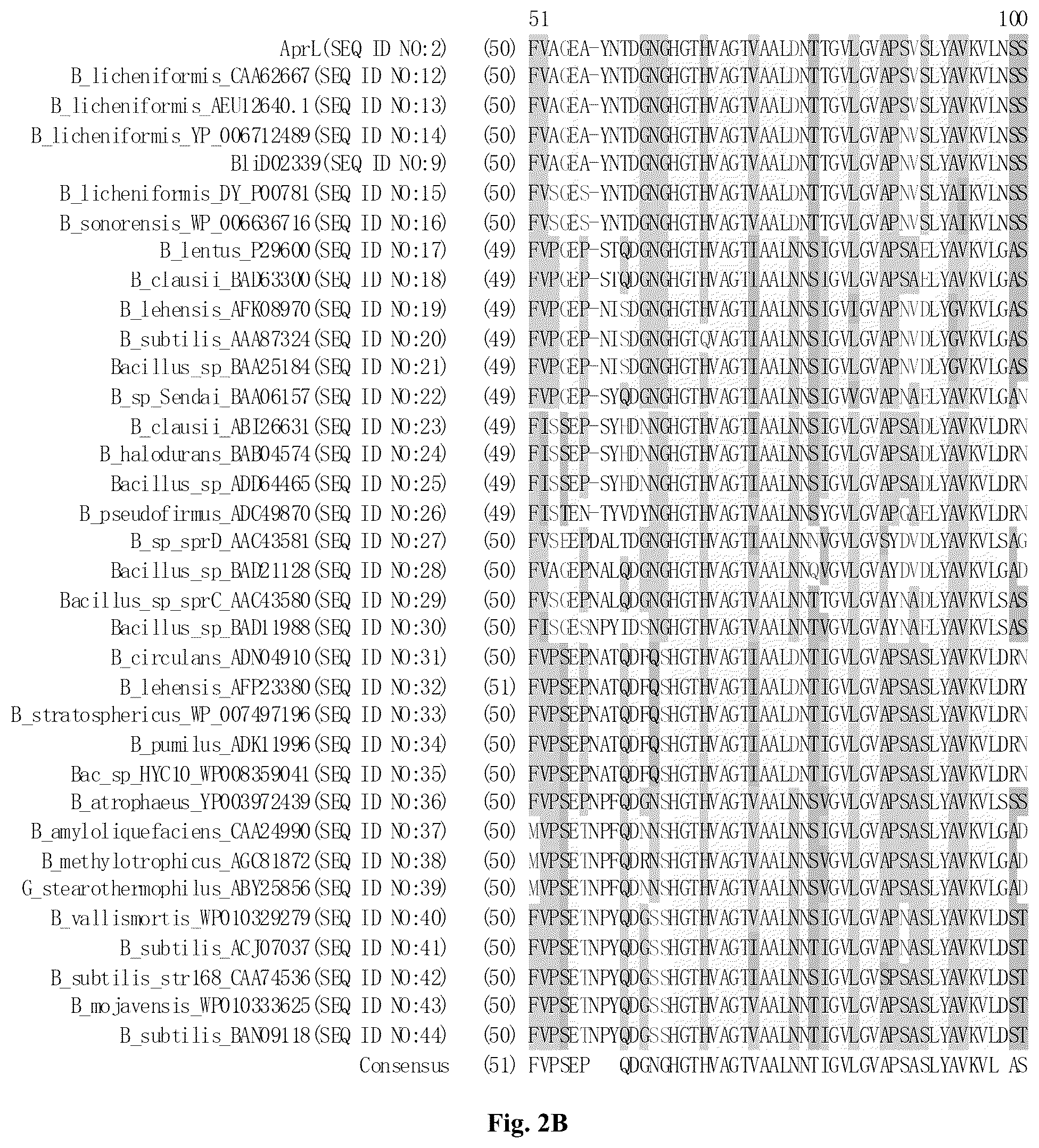 Patent US12305205 Figure 3 – AprL-clade protease variants and uses thereof