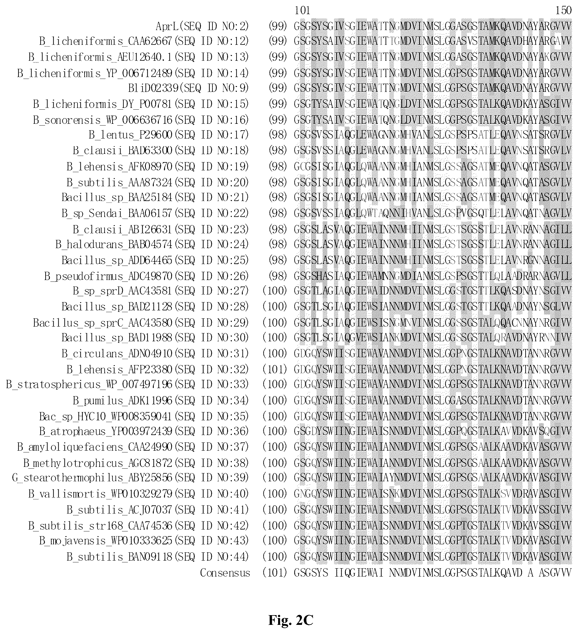 Patent US12305205 Figure 4 – AprL-clade protease variants and uses thereof