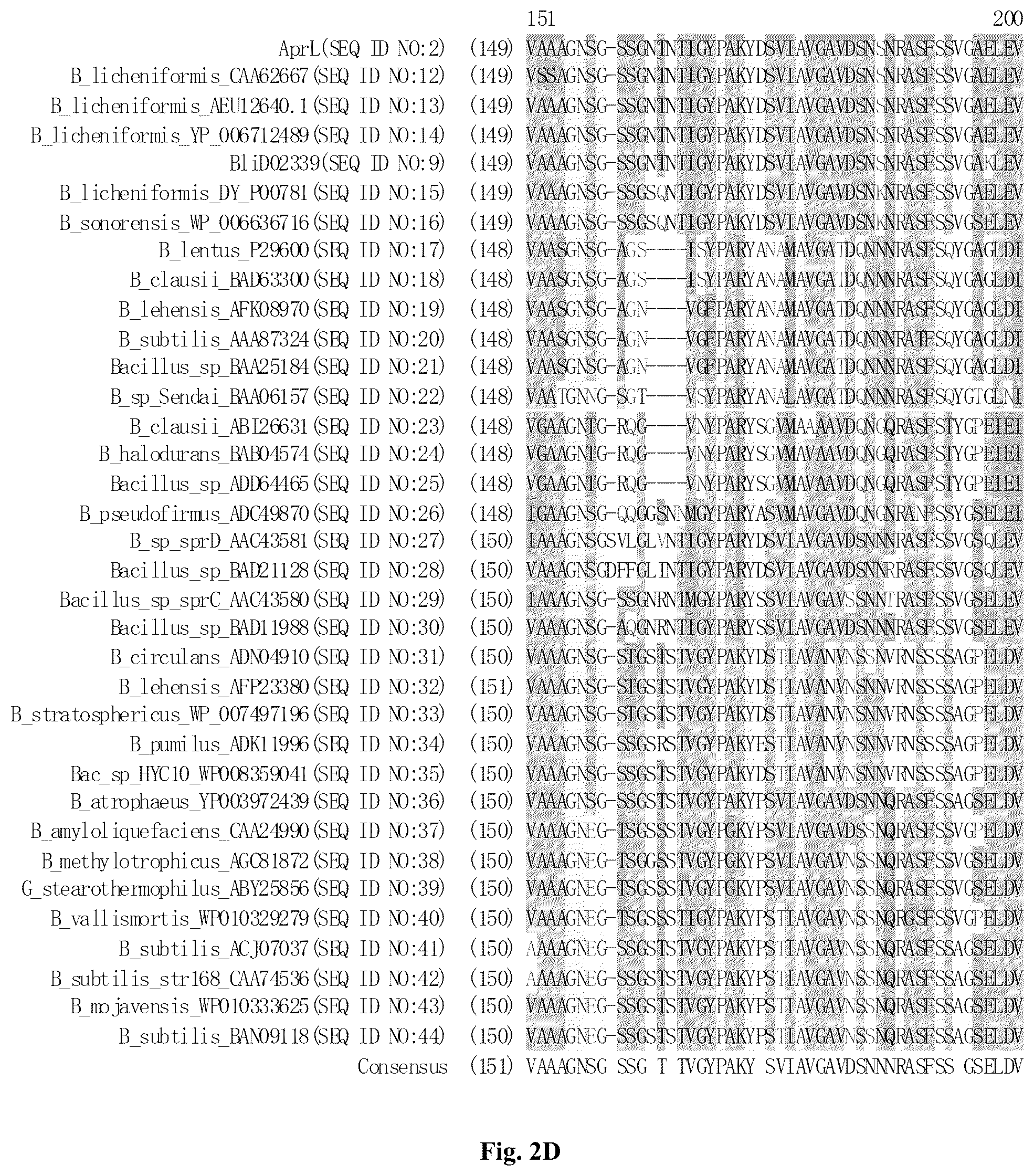 Patent US12305205 Figure 5 – AprL-clade protease variants and uses thereof