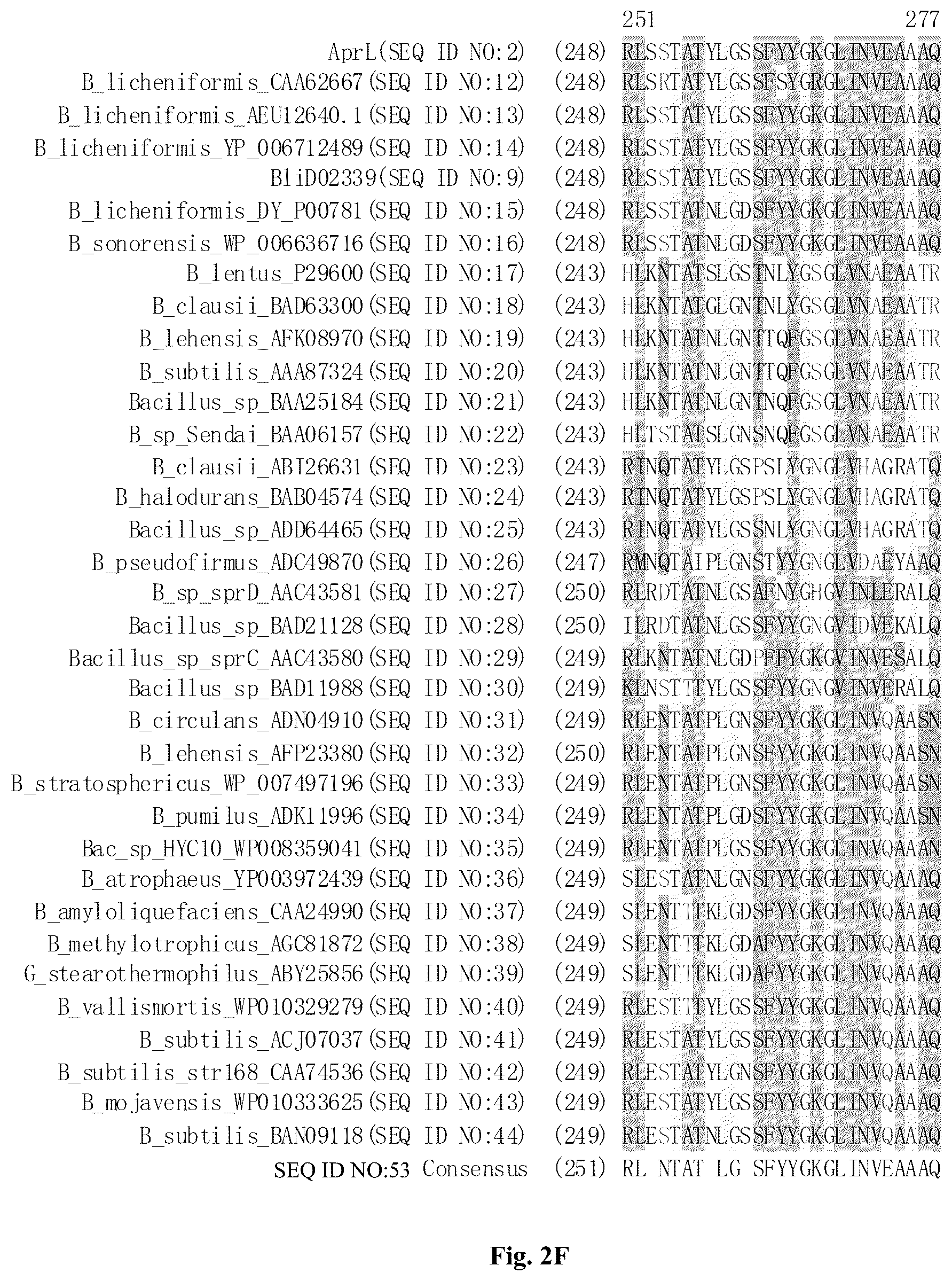 Patent US12305205 Figure 7 – AprL-clade protease variants and uses thereof