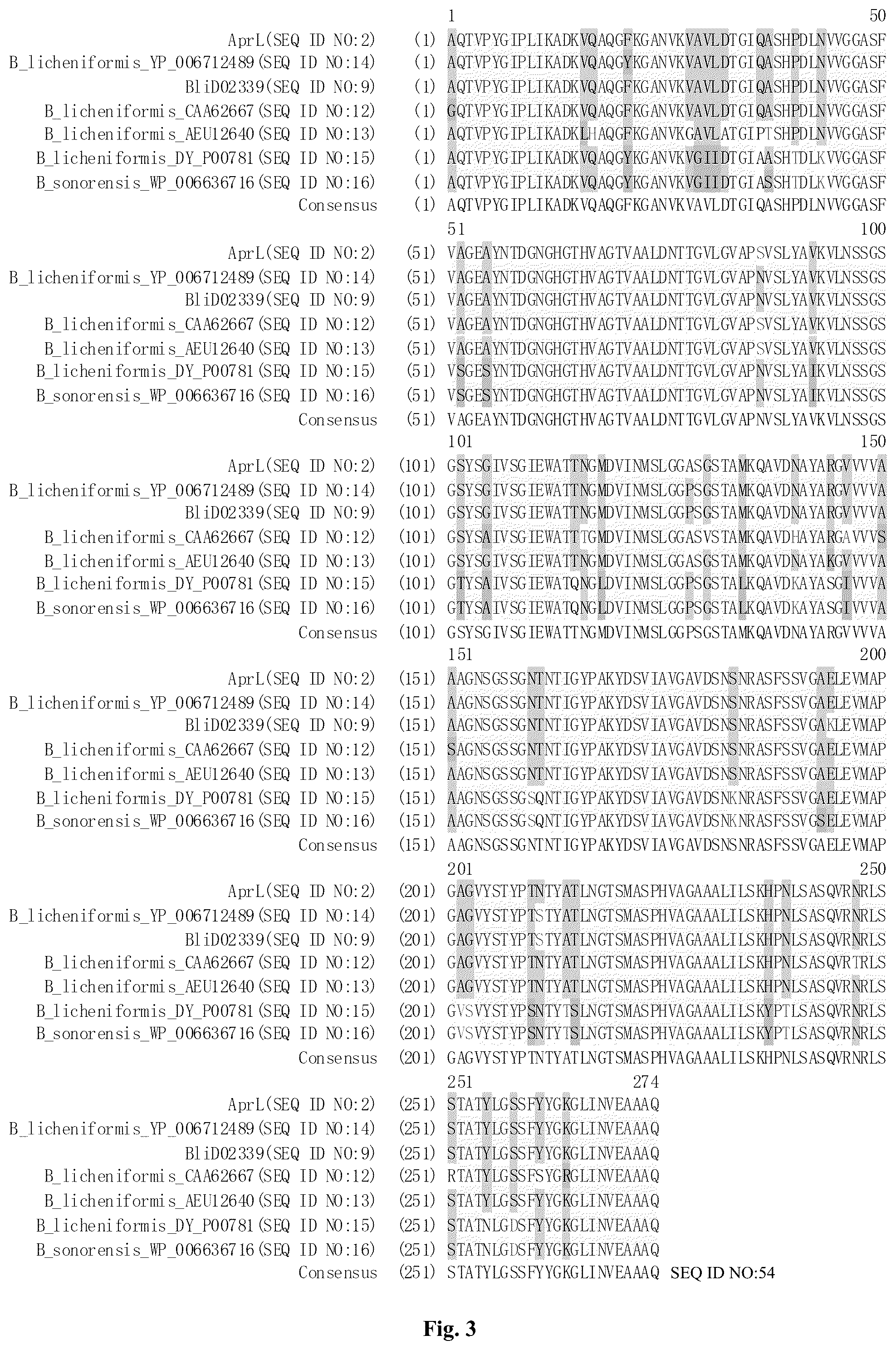 Patent US12305205 Figure 8 – AprL-clade protease variants and uses thereof