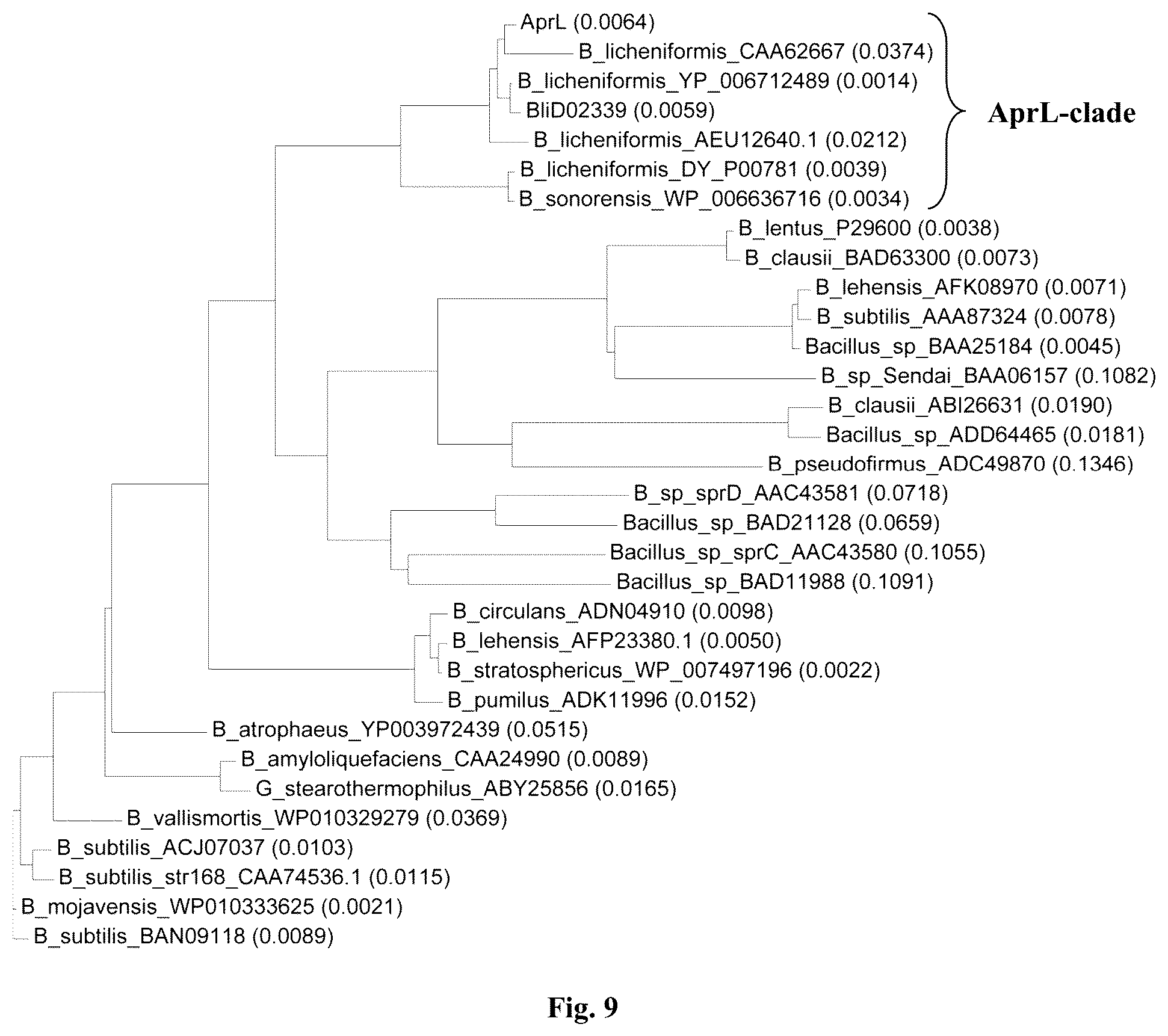 Patent US12305205 Figure 12 – AprL-clade protease variants and uses thereof