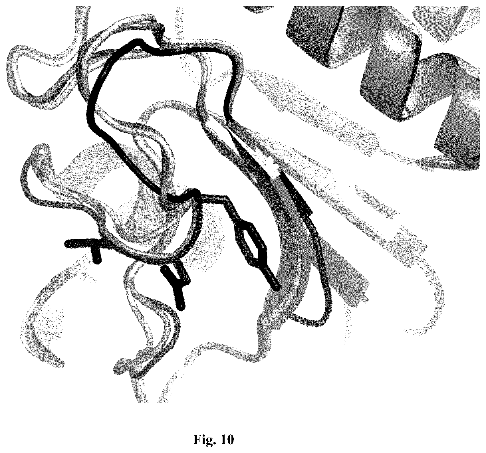 Patent US12305205 Figure 13 – AprL-clade protease variants and uses thereof