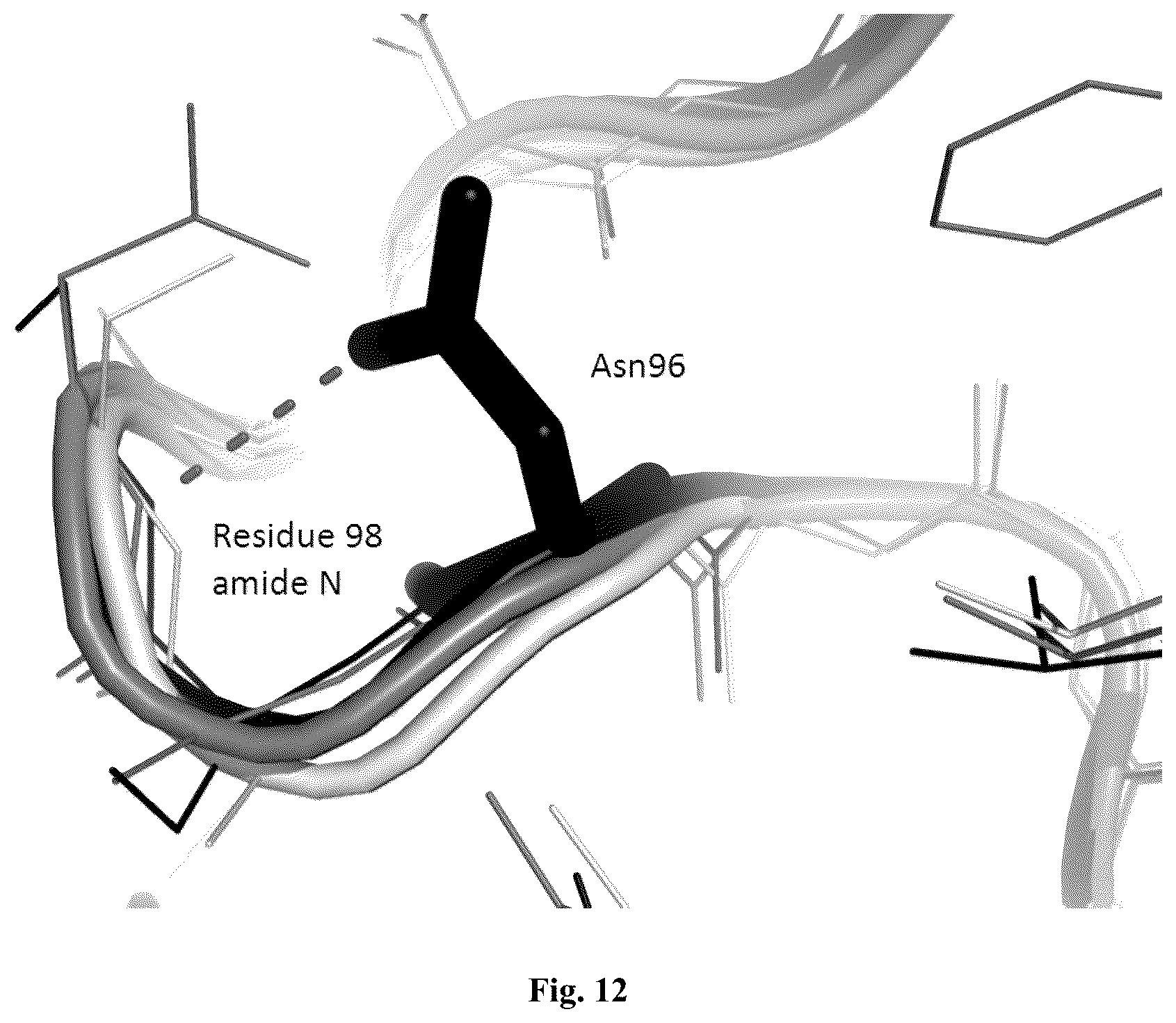 Patent US12305205 Figure 15 – AprL-clade protease variants and uses thereof