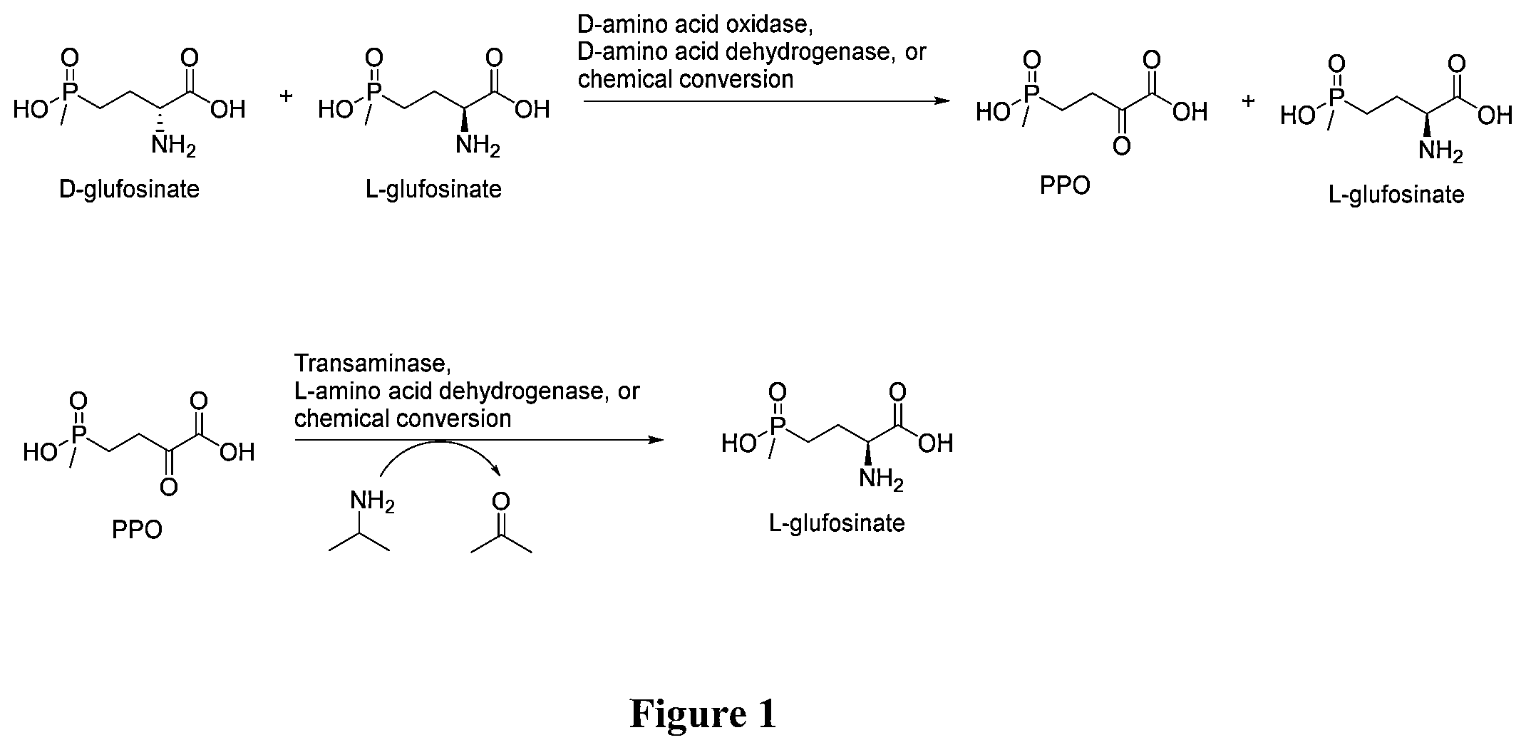 Patent US12305206 — Methods for making L-glufosinate — Figure 1