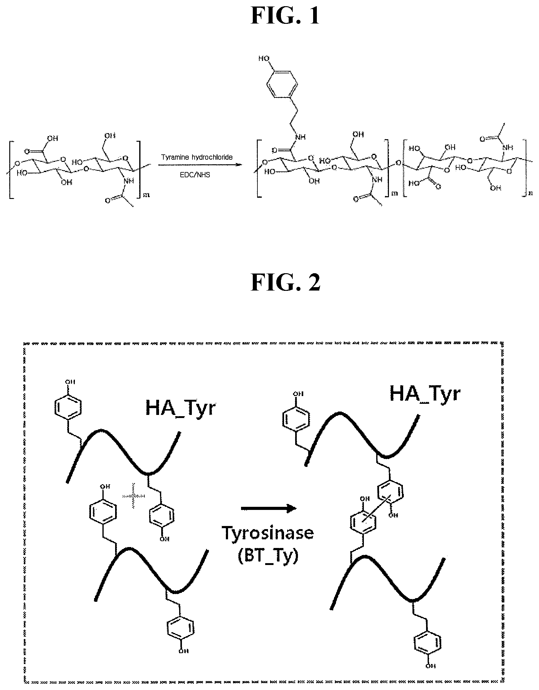 Patent US12305209 Figure 1 – Cross-linking material having adhesive strength, prepared using Burkholderia -derived tyrosinase, preparation method therefor, and application thereof