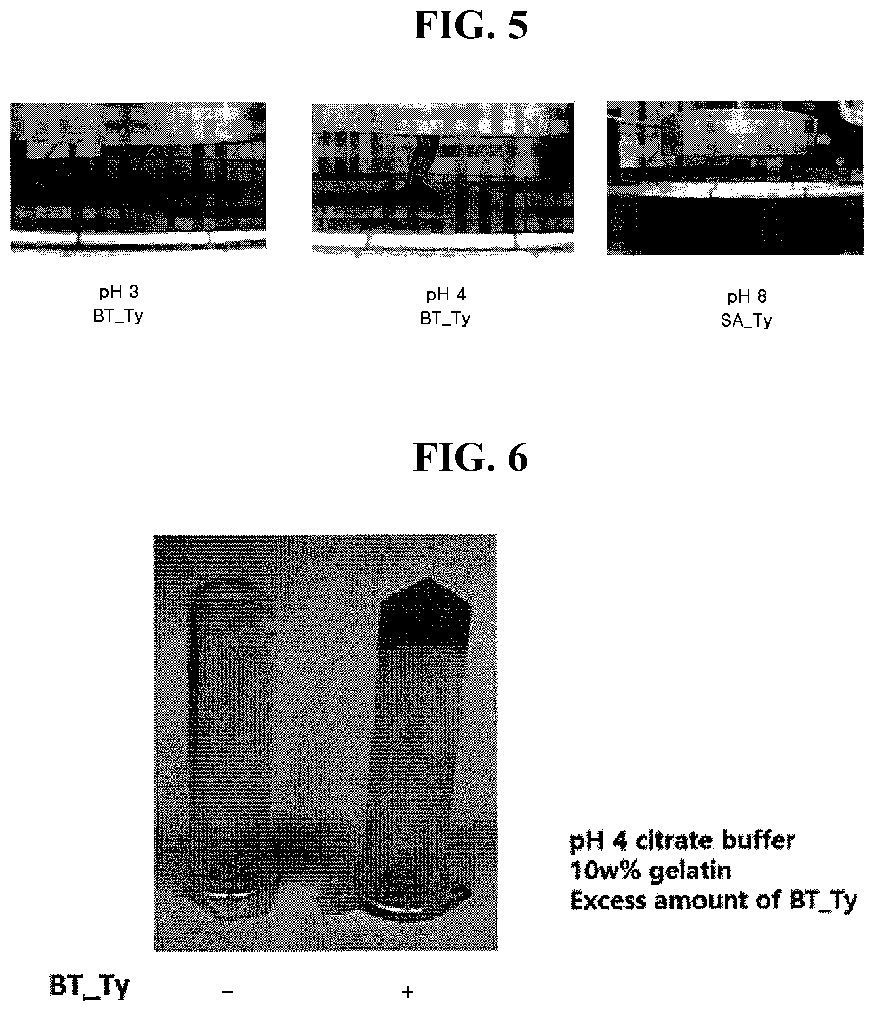 Patent US12305209 Figure 3 – Cross-linking material having adhesive strength, prepared using Burkholderia -derived tyrosinase, preparation method therefor, and application thereof