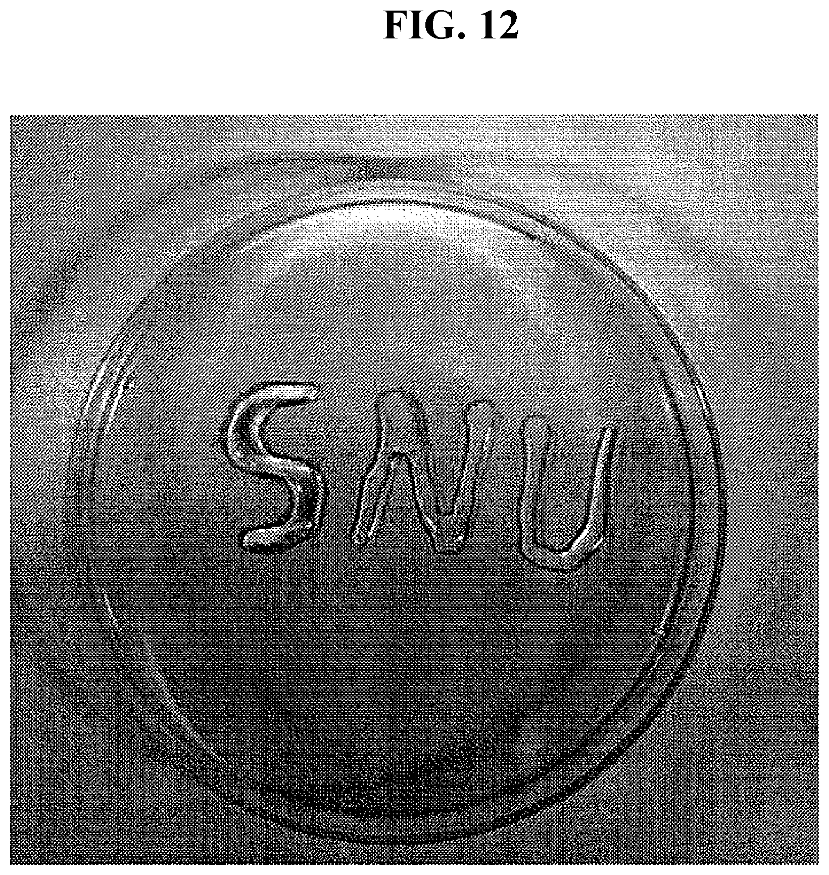 Patent US12305209 Figure 9 – Cross-linking material having adhesive strength, prepared using Burkholderia -derived tyrosinase, preparation method therefor, and application thereof