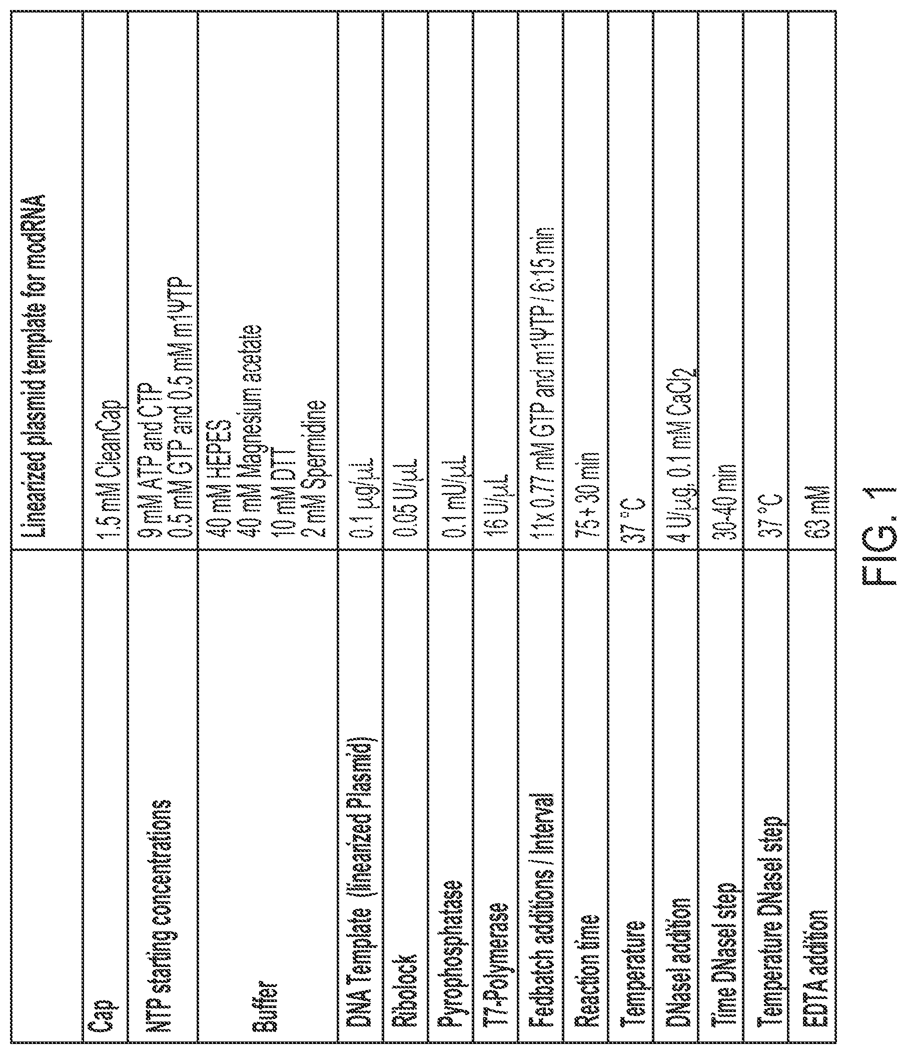 Patent US12305210 Figure 1 – In vitro transcription technologies