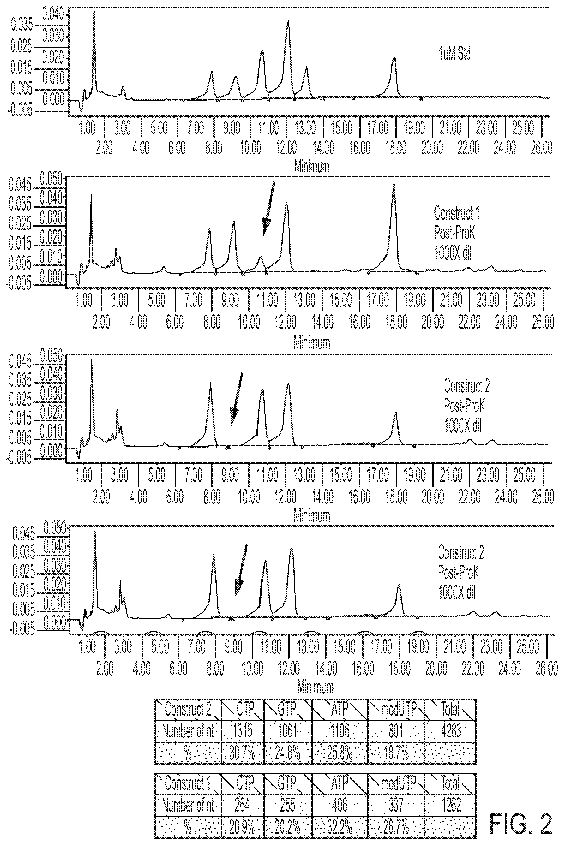 Patent US12305210 Figure 2 – In vitro transcription technologies