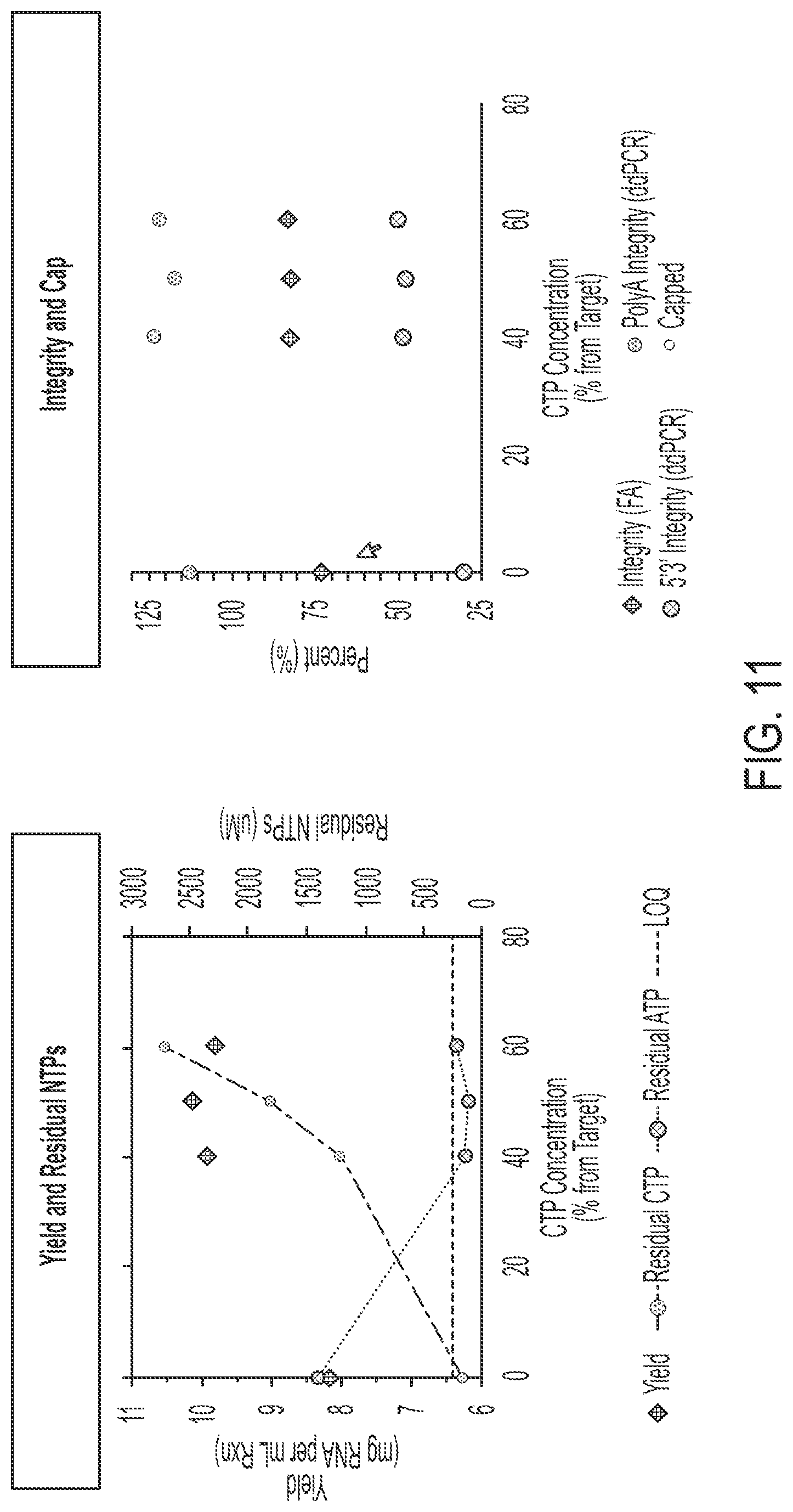 Patent US12305210 Figure 11 – In vitro transcription technologies