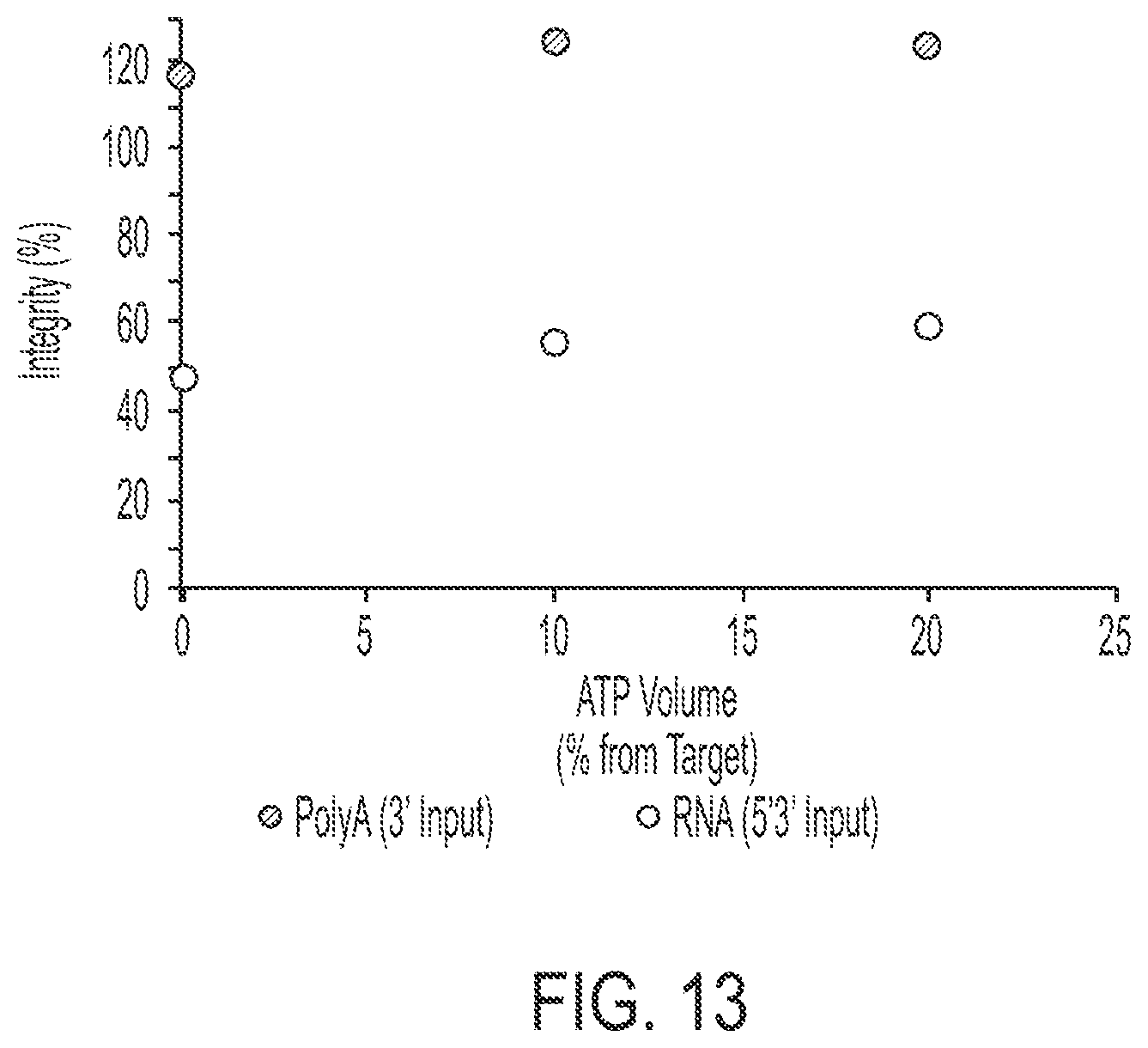 Patent US12305210 Figure 13 – In vitro transcription technologies