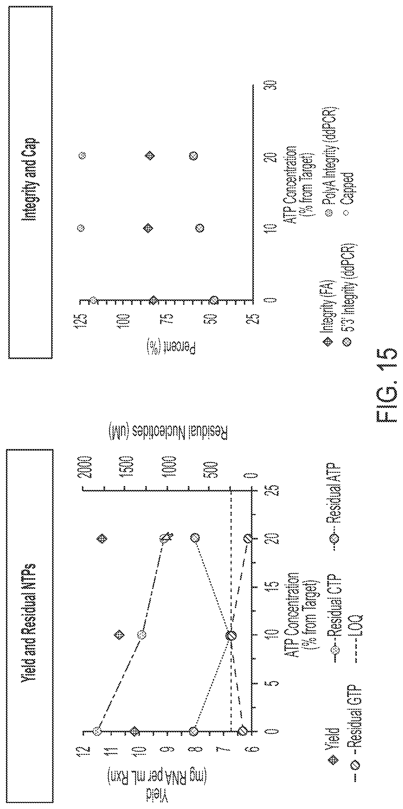 Patent US12305210 Figure 15 – In vitro transcription technologies